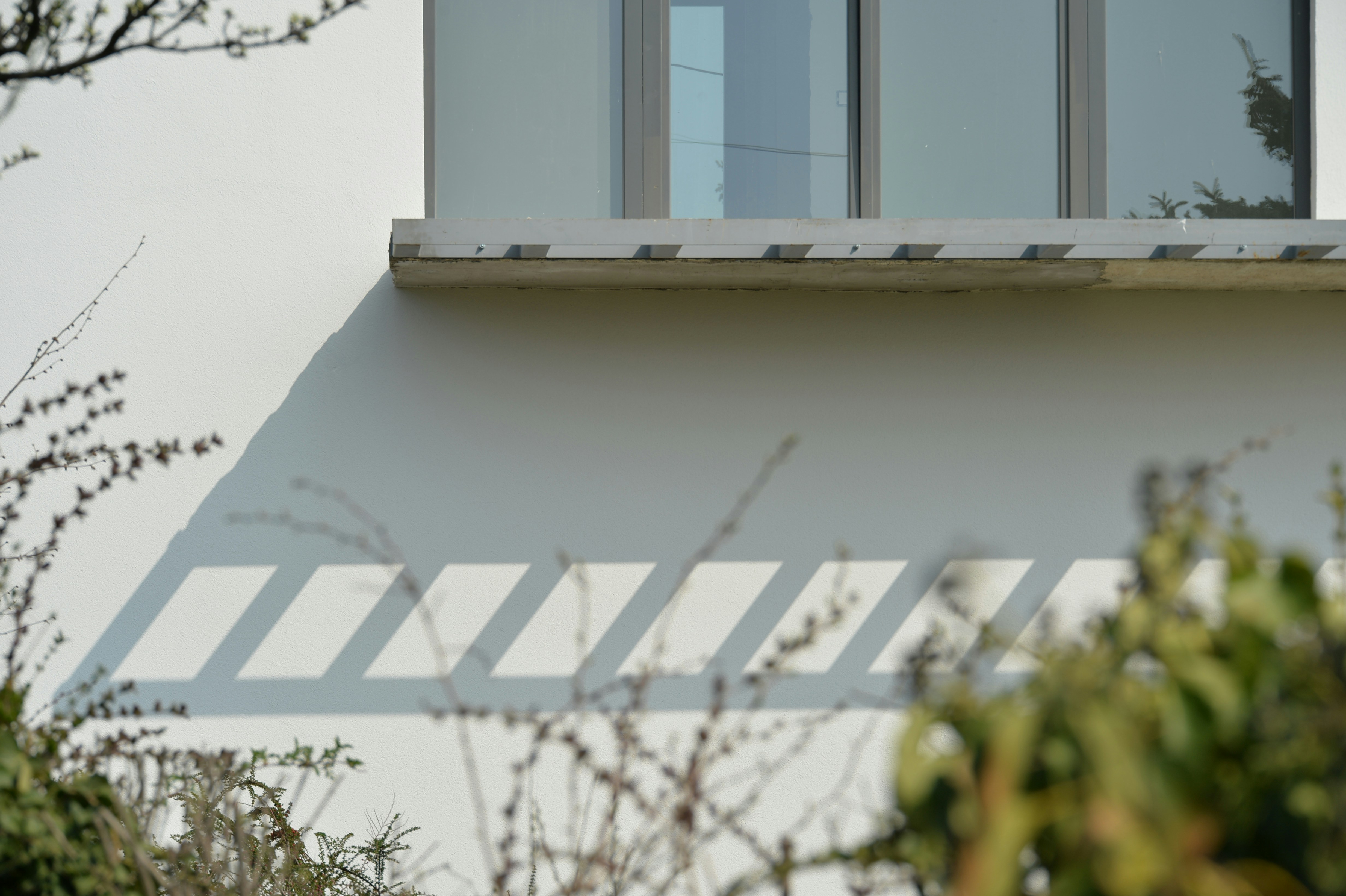 Photo by baliko_andras