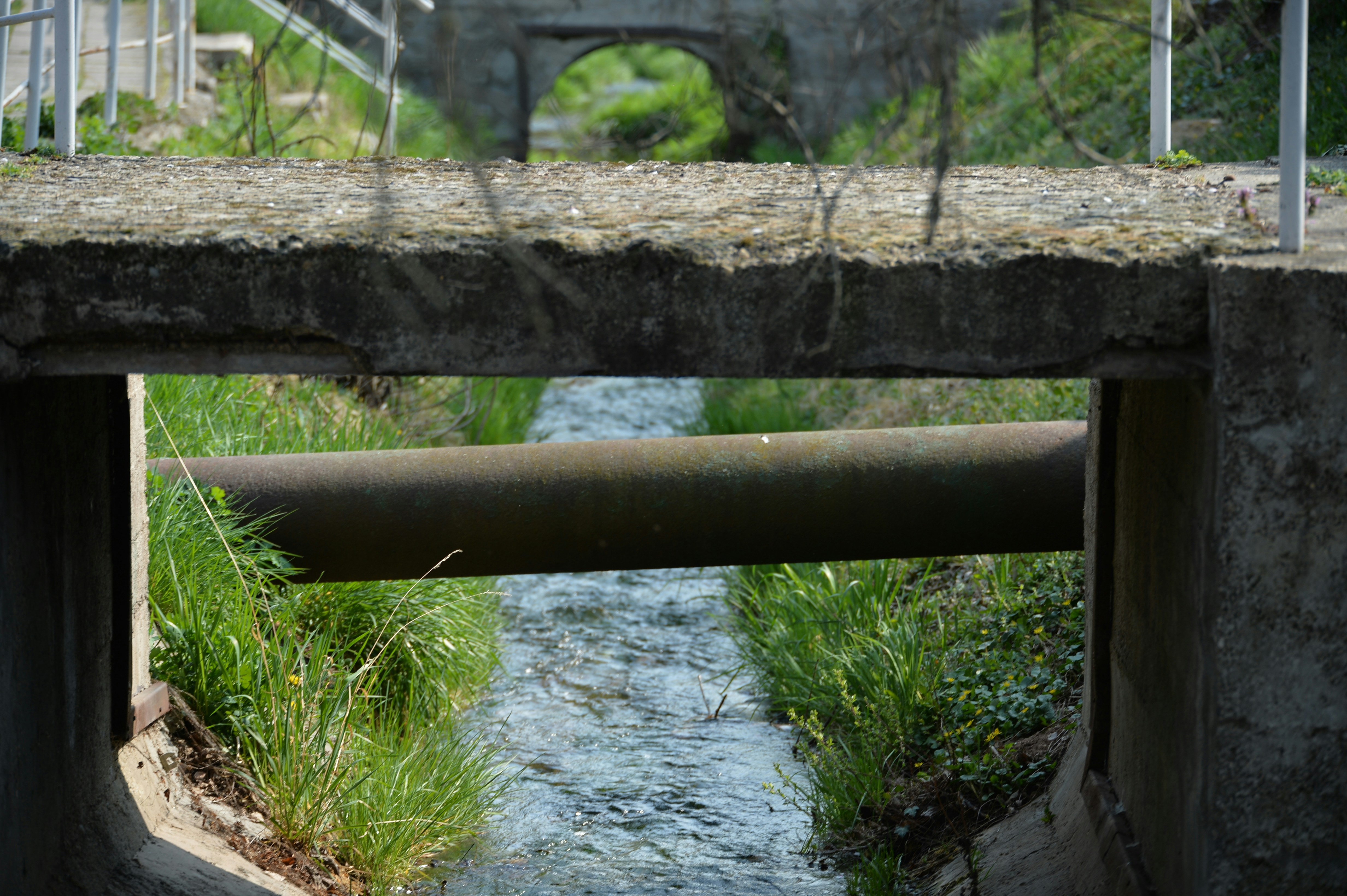 Photo by baliko_andras