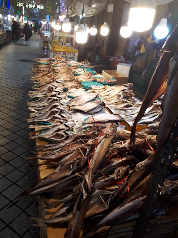 Premium Fishing Gear Collection