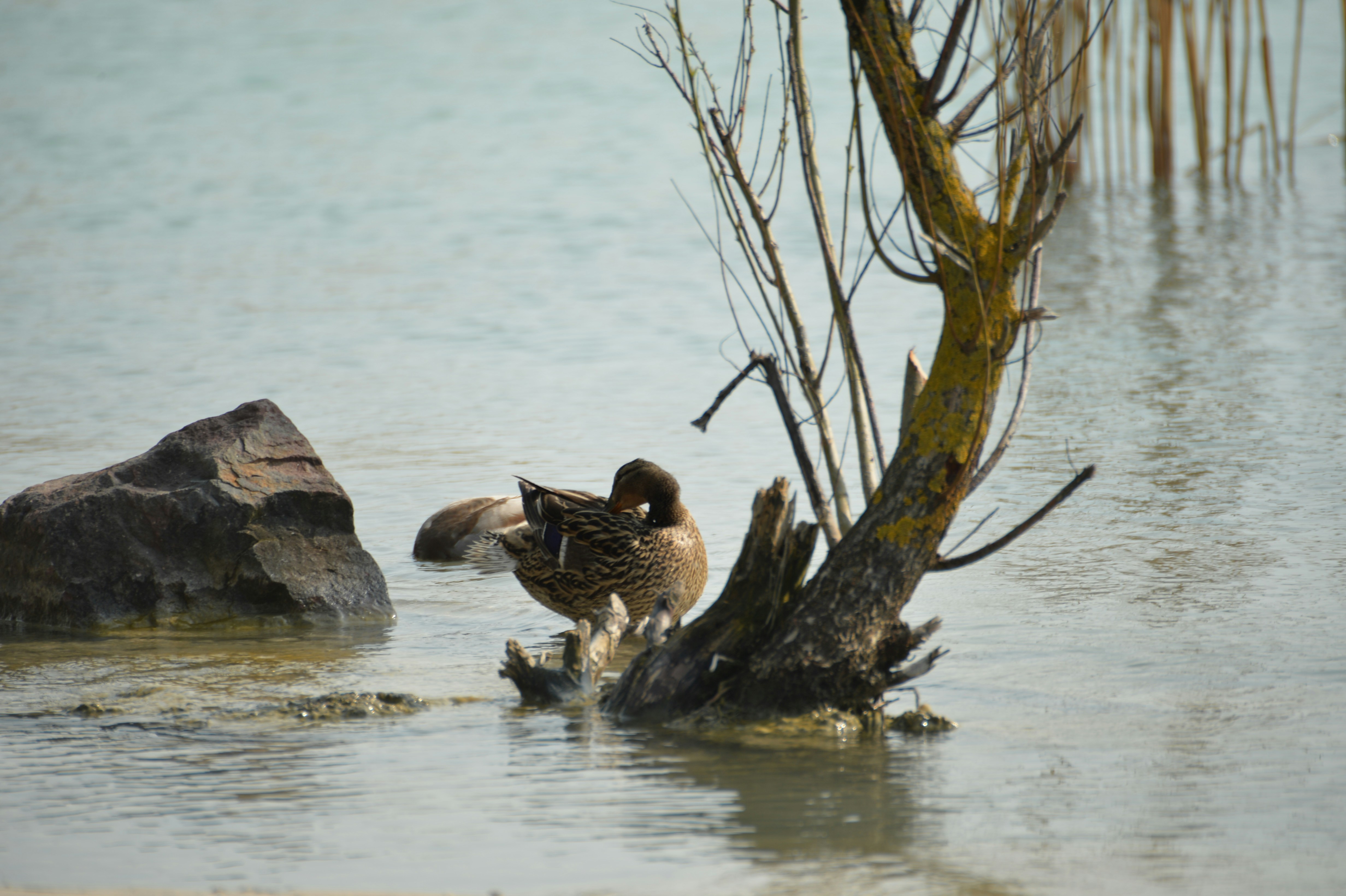 Photo by baliko_andras