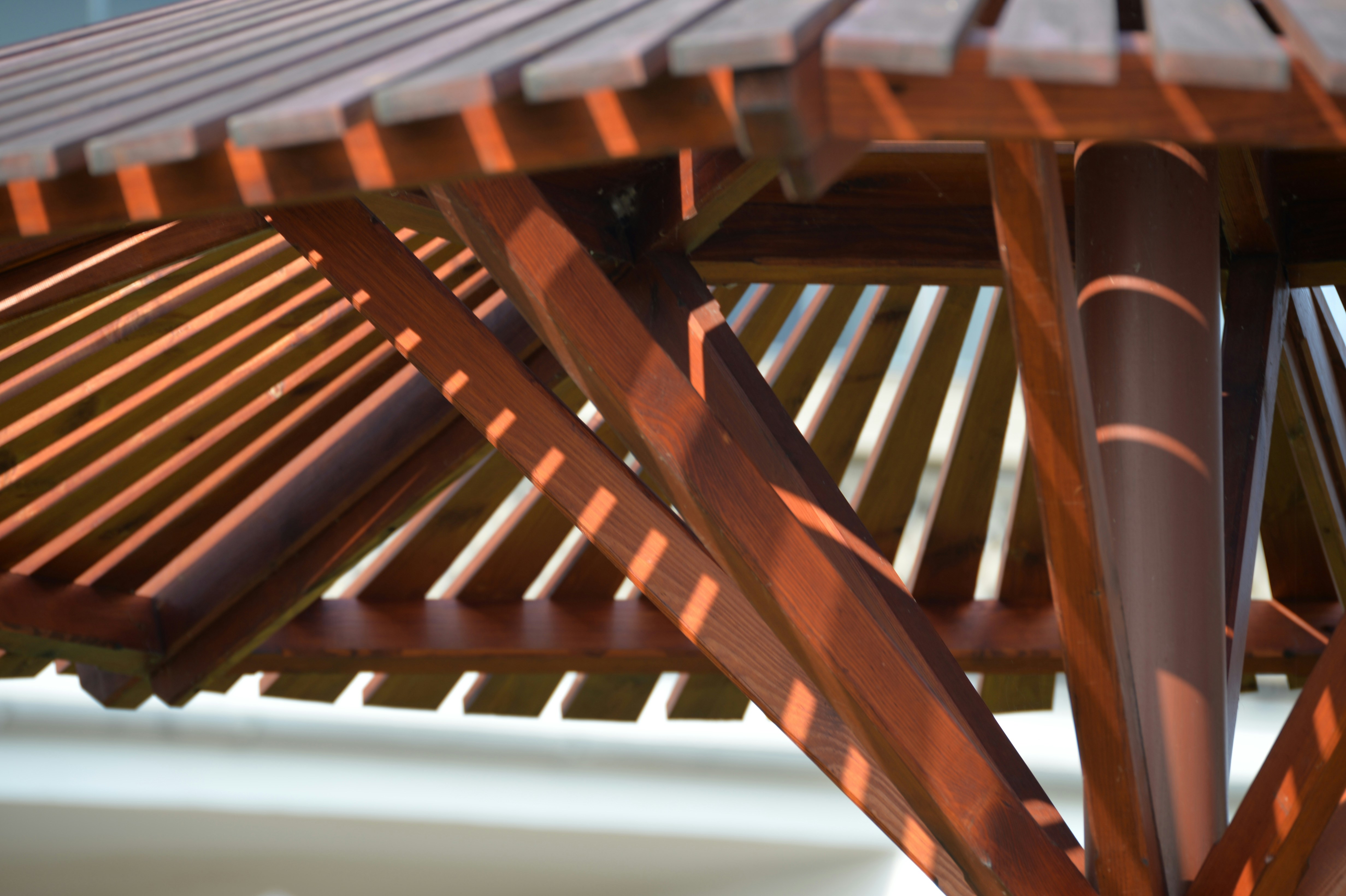 Photo by baliko_andras