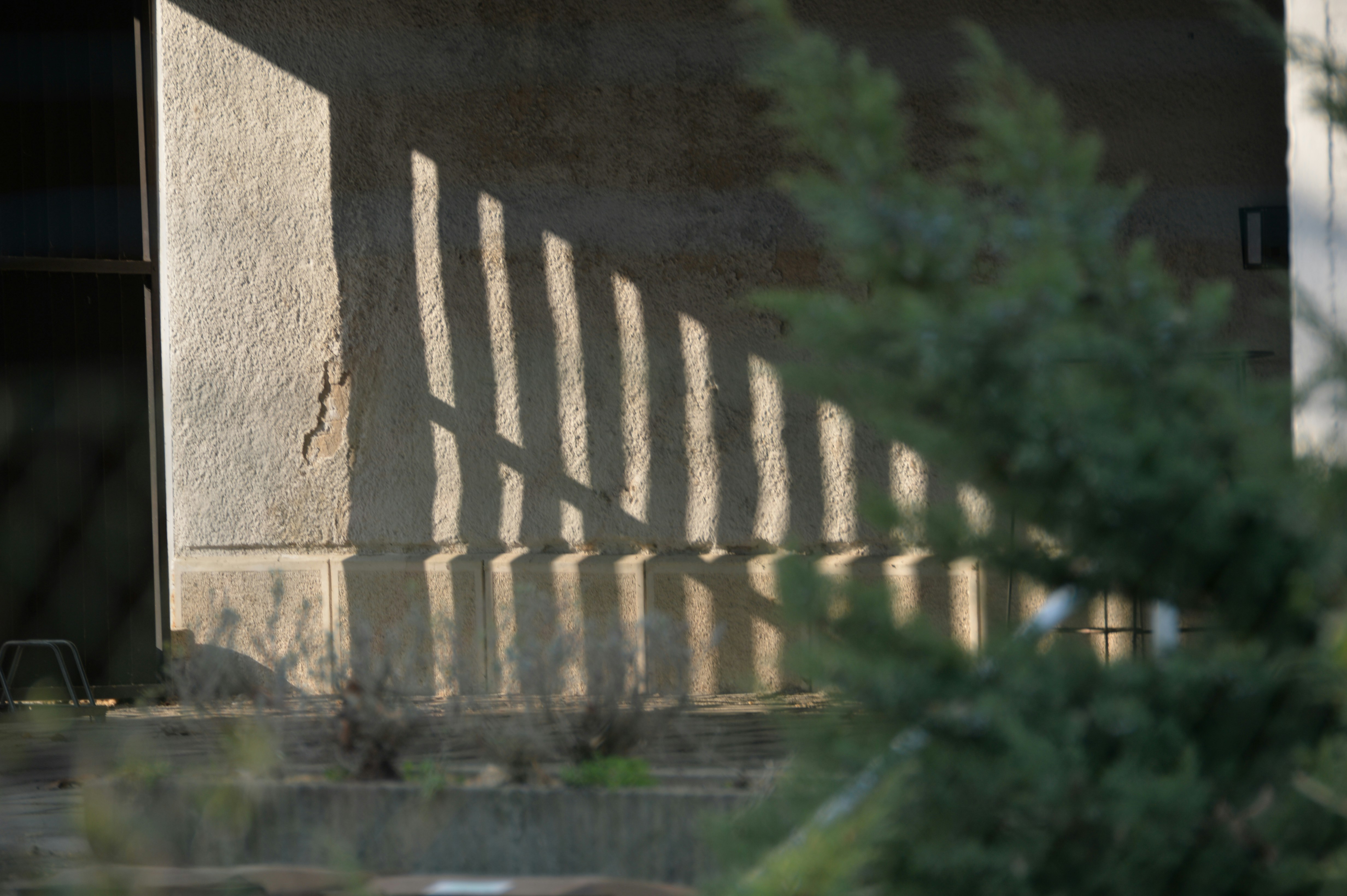 Photo by baliko_andras