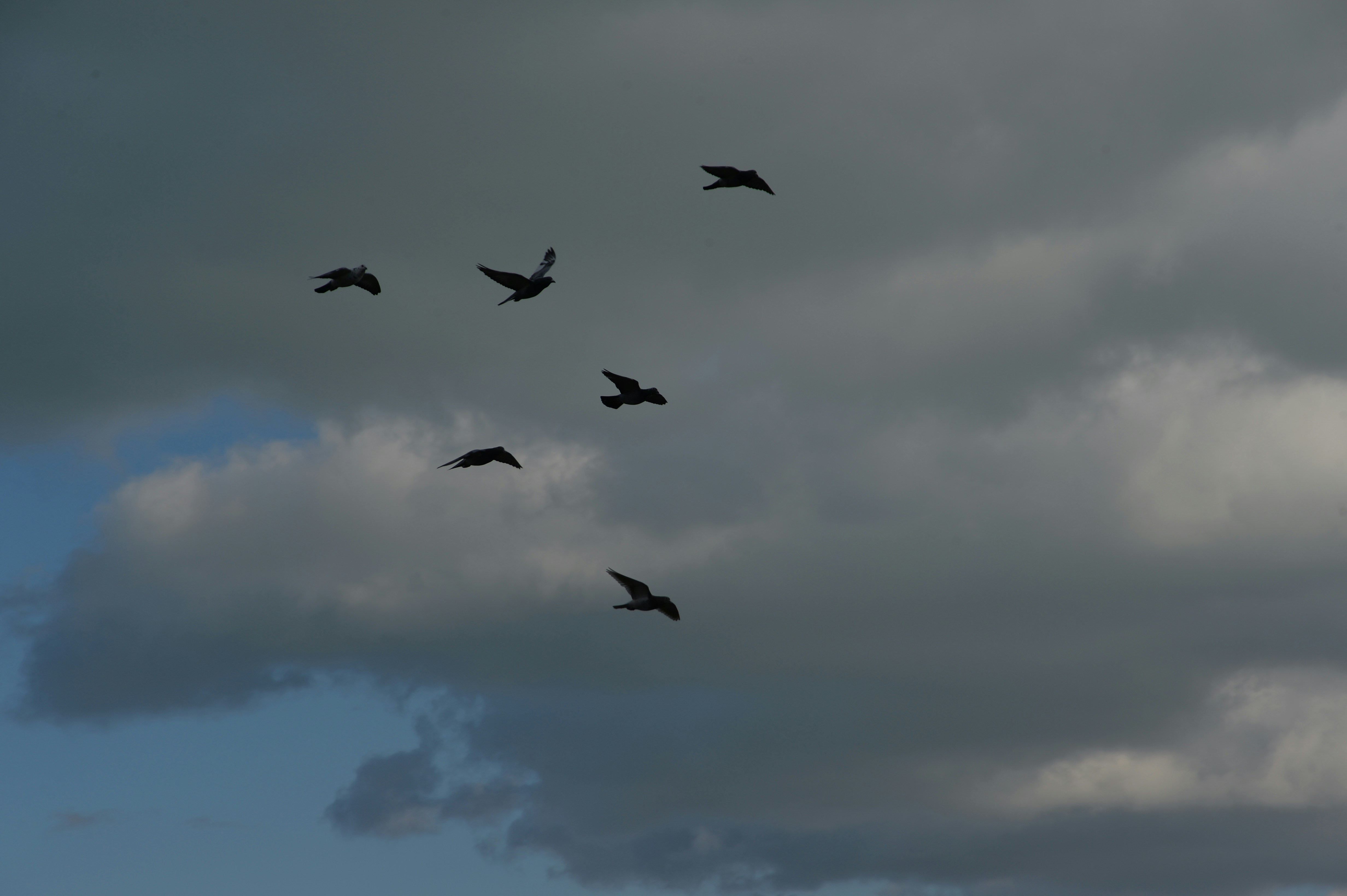 Photo by baliko_andras