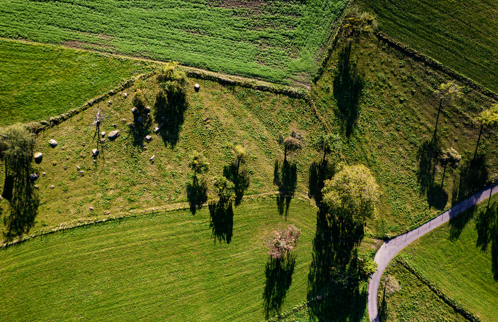 woman wearing yellow long-sleeved dress under white clouds and blue sky during daytime