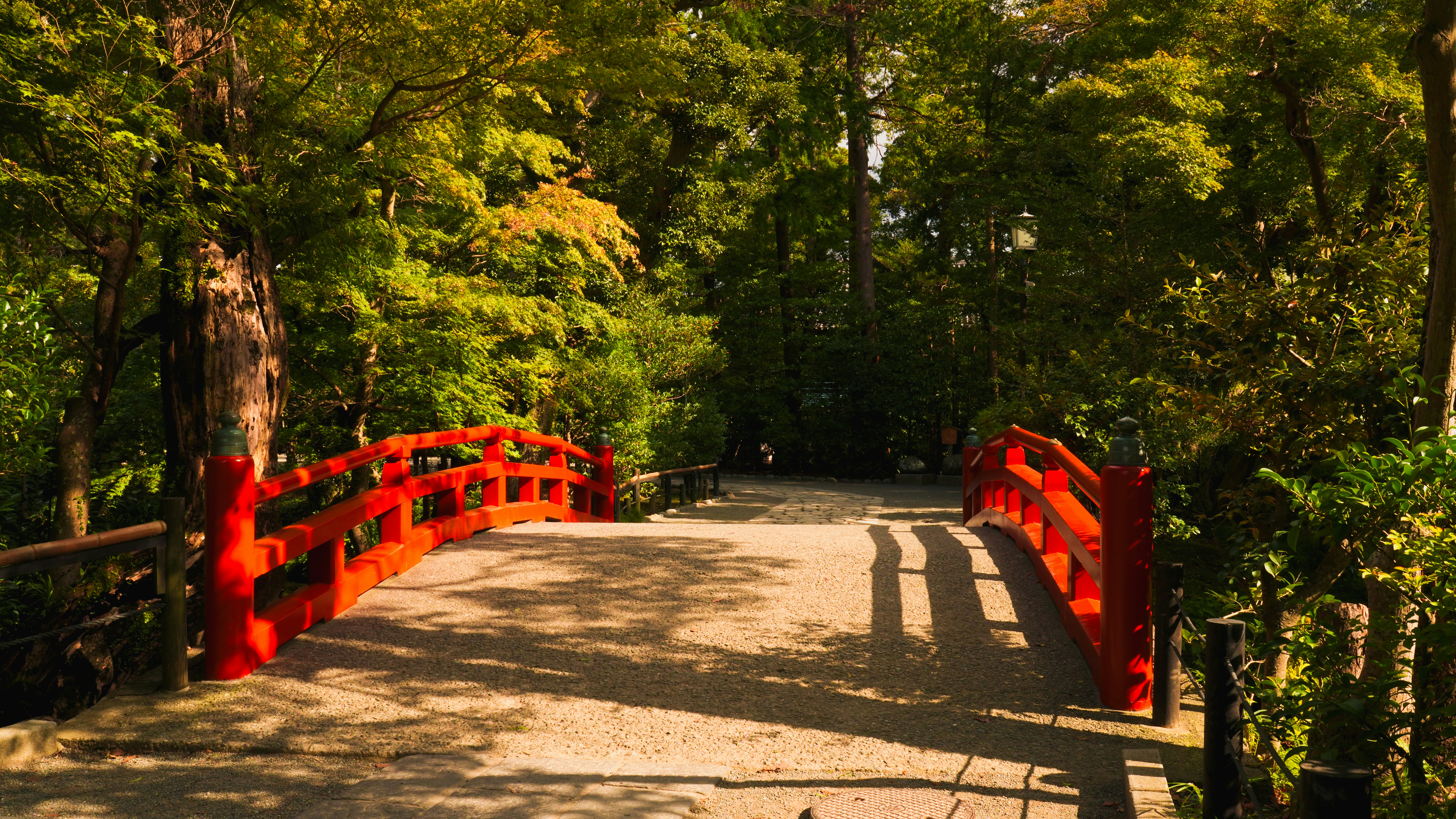 The Unspoken Rules That Shape Our World