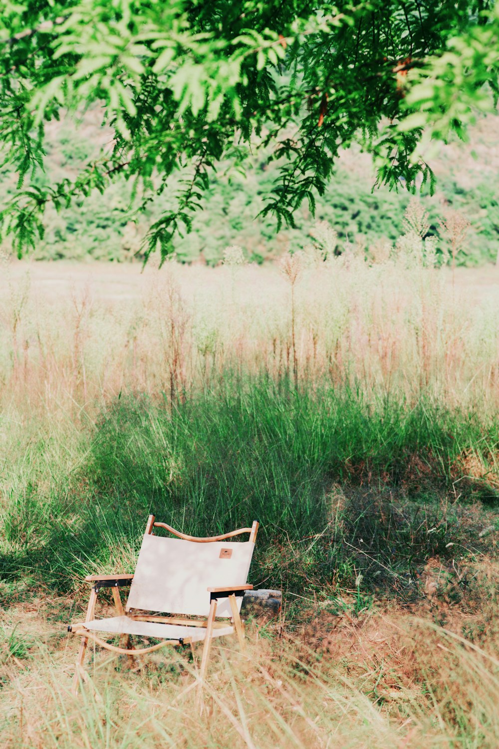 a chair sitting in the middle of a field