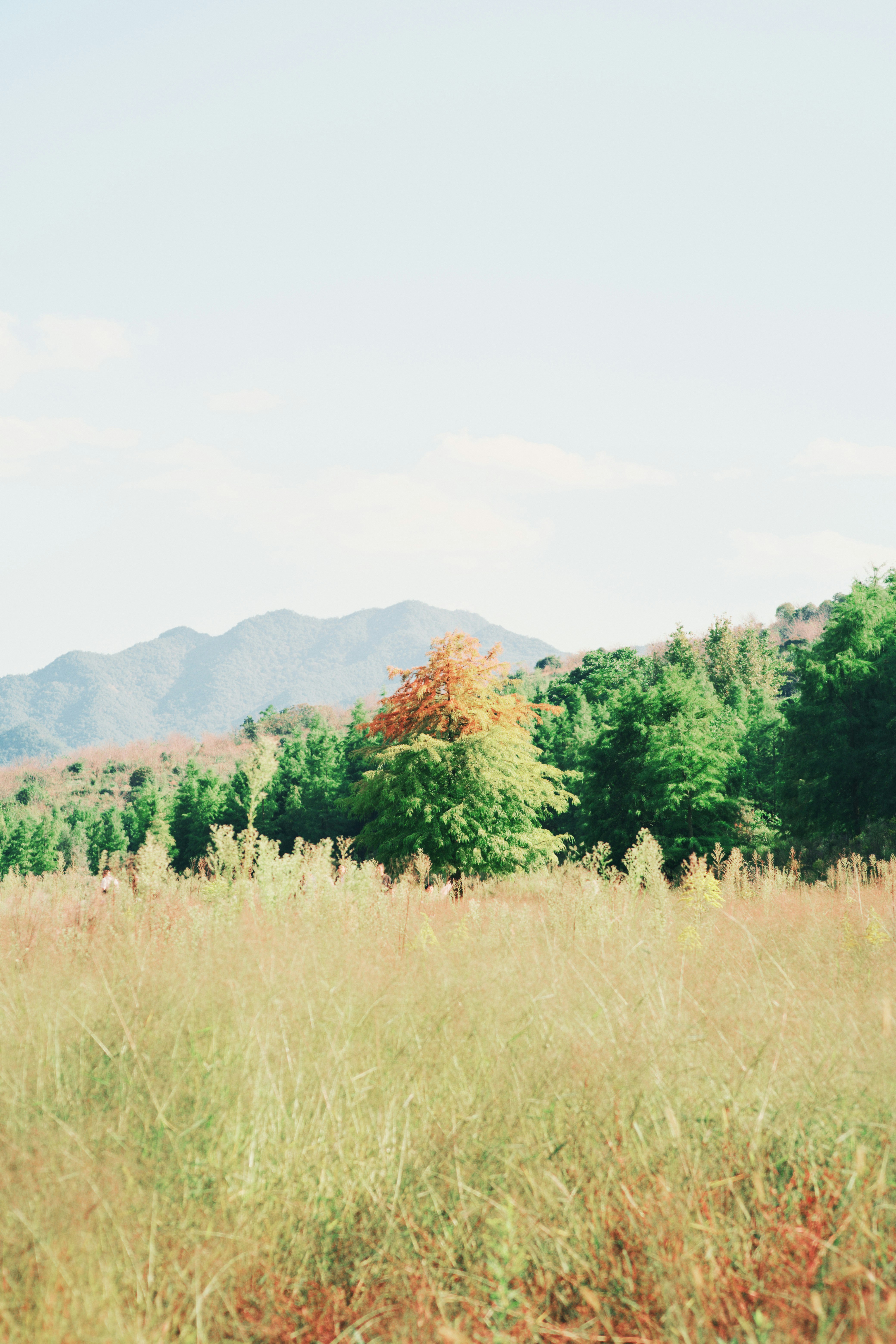 Photo by waferwan