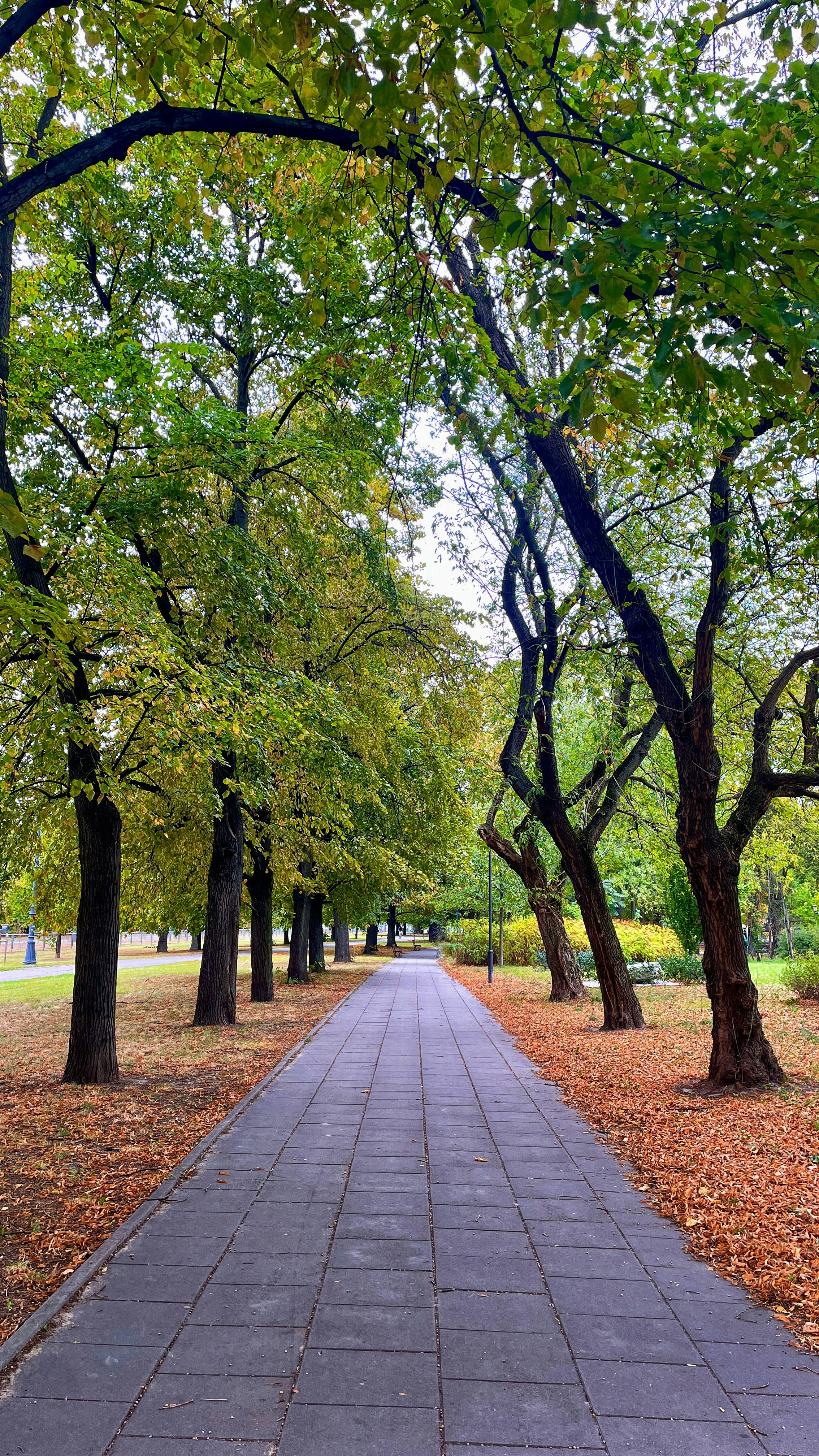 Photo by nizarhartady