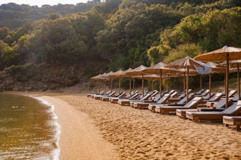 A serene beach scene featuring several empty sun loungers aligned under straw parasols, set on a sandy shore. The beach curves gently along the coastline with calm water lapping at the edge. Lush greenery and trees provide a natural backdrop, suggesting a tranquil, secluded atmosphere.