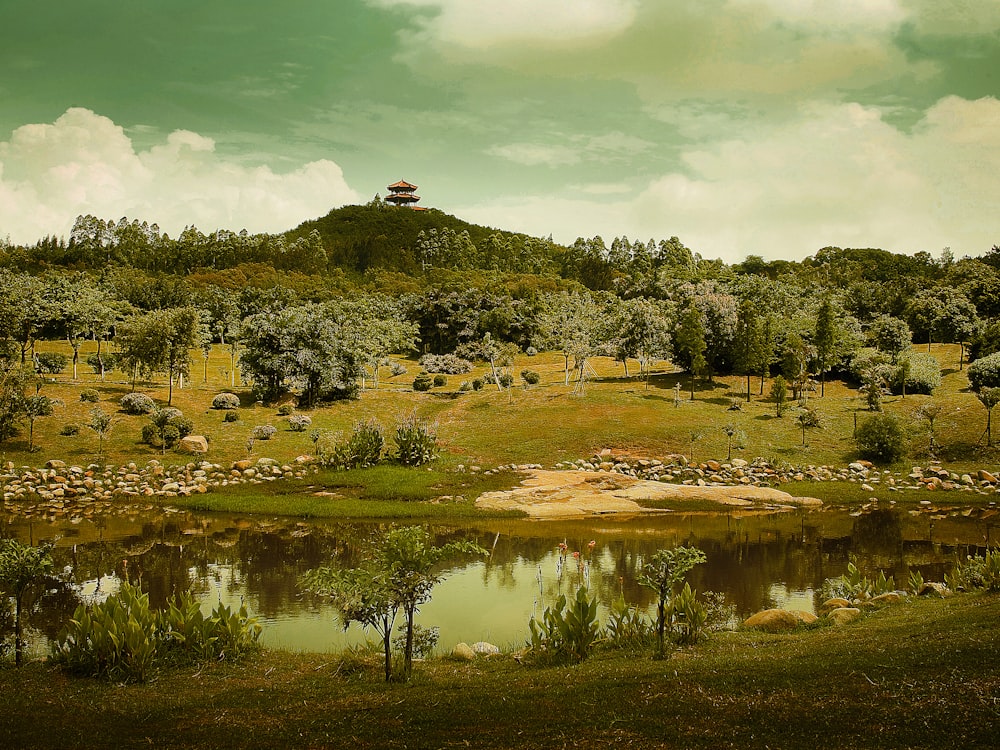 a grassy field with a pond and a hill in the background