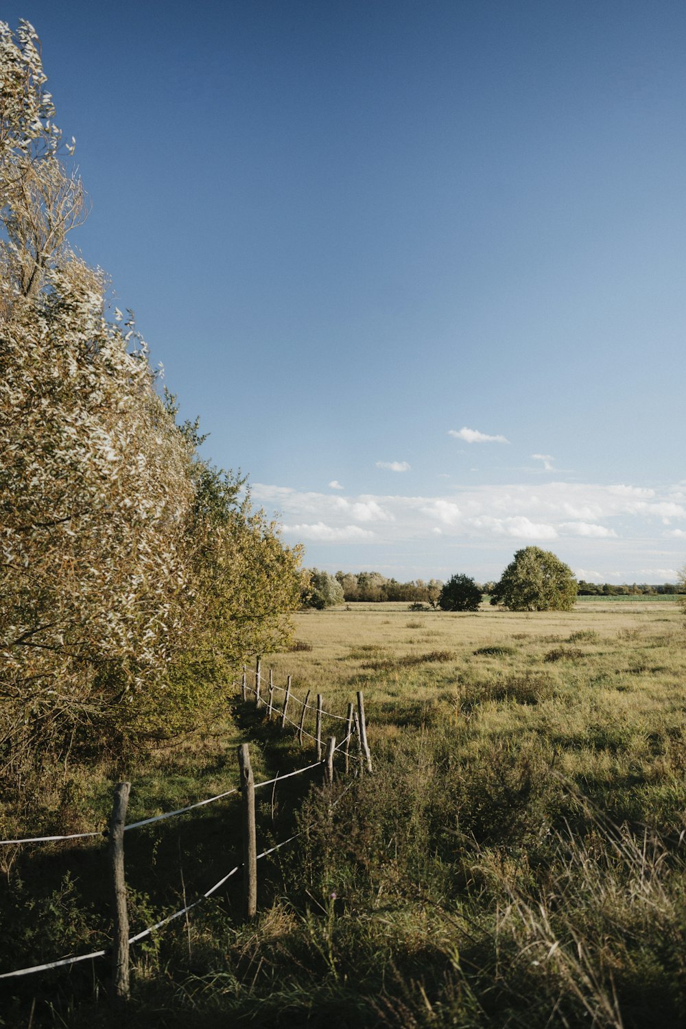 a field with a fence and trees in the background