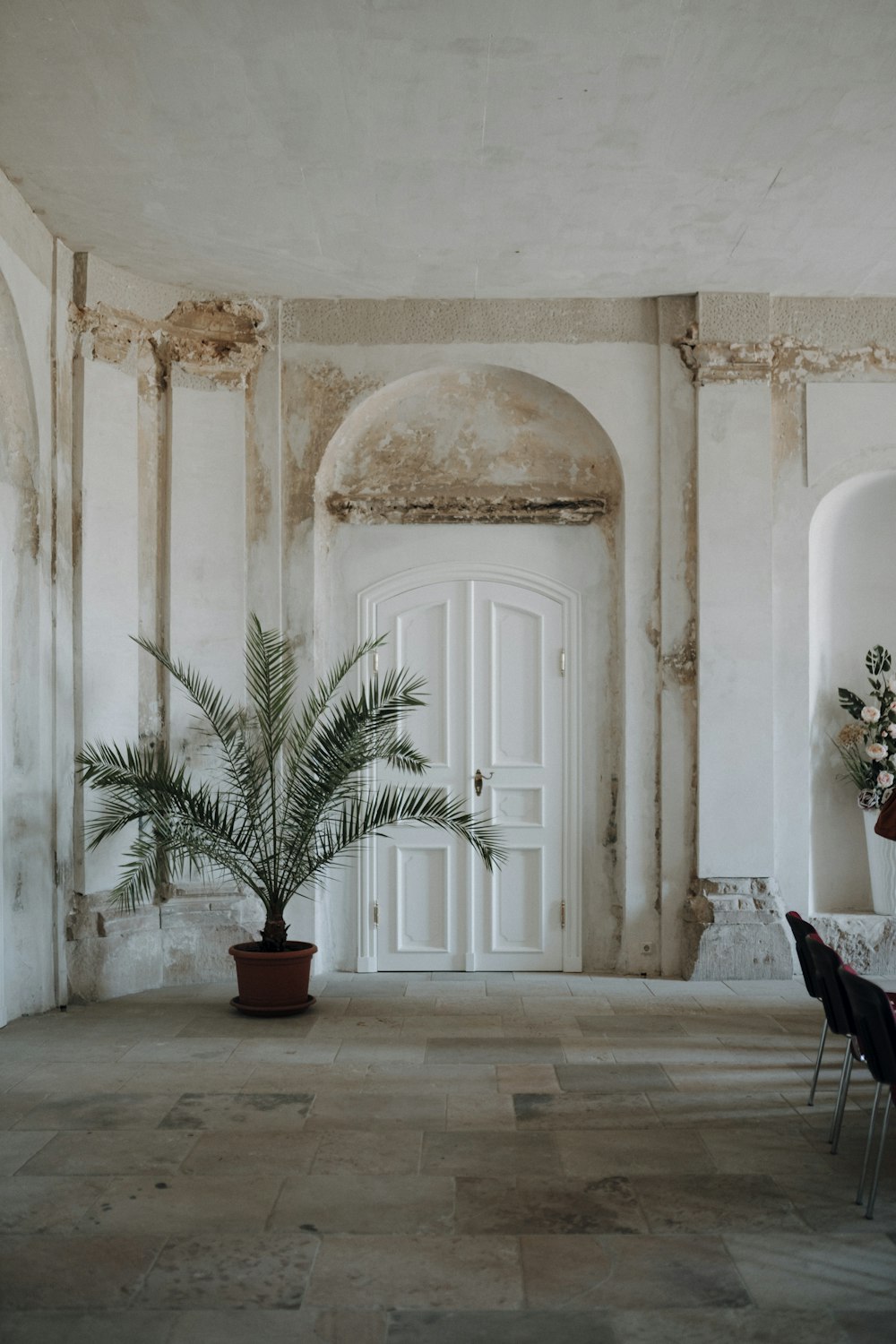 a room with a door and a potted plant