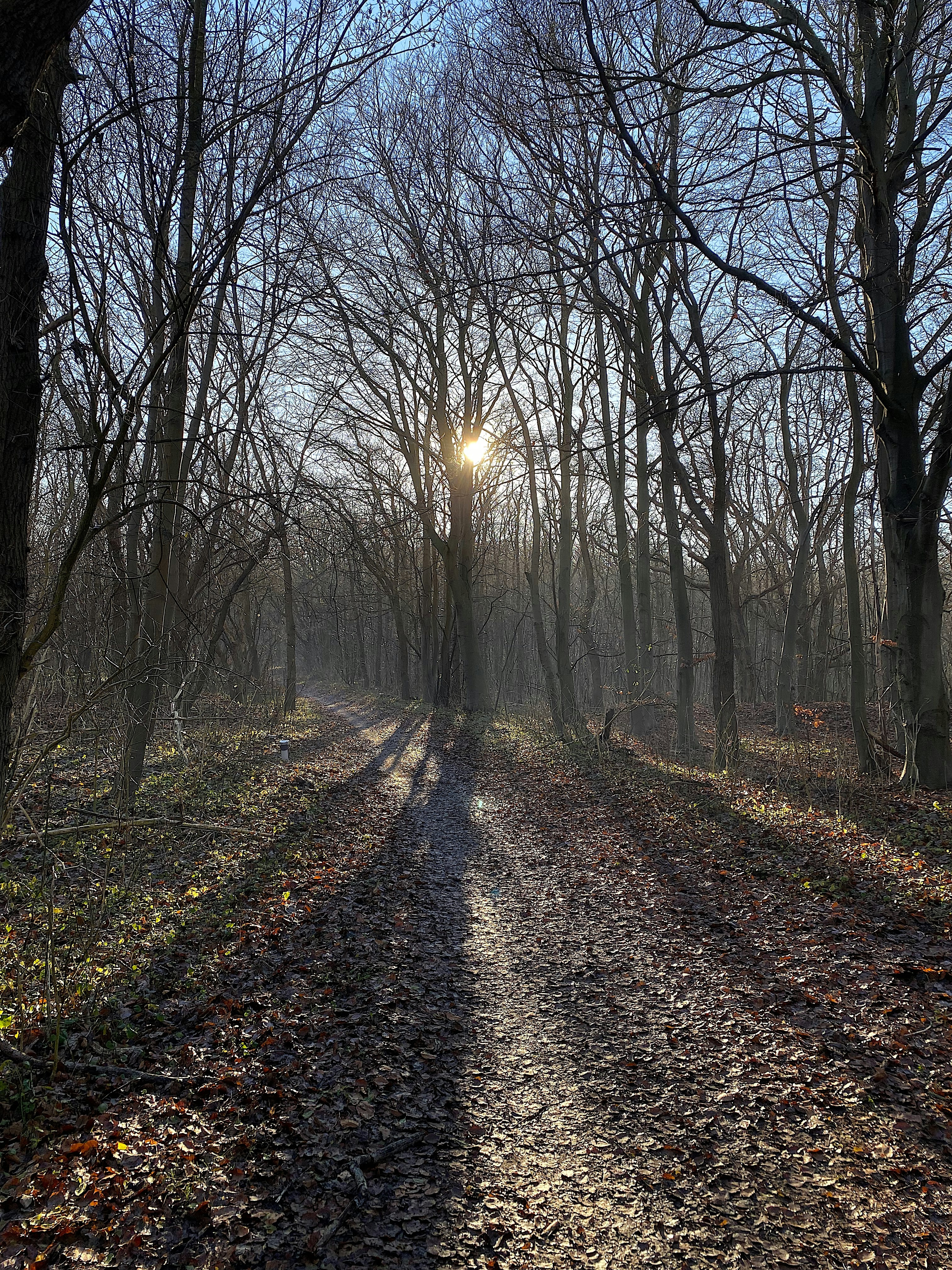 Photo by nielssteeman