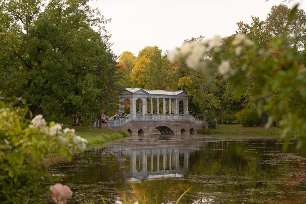 a bridge over a pond in a park