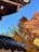 A traditional wooden roof structure is partially visible, with intricate detailing and a dark, curved roof tile. In the foreground, a tree displays vibrant orange and red autumn leaves, contrasting against a clear blue sky. Green foliage is also visible in the background, adding to the rich color palette.