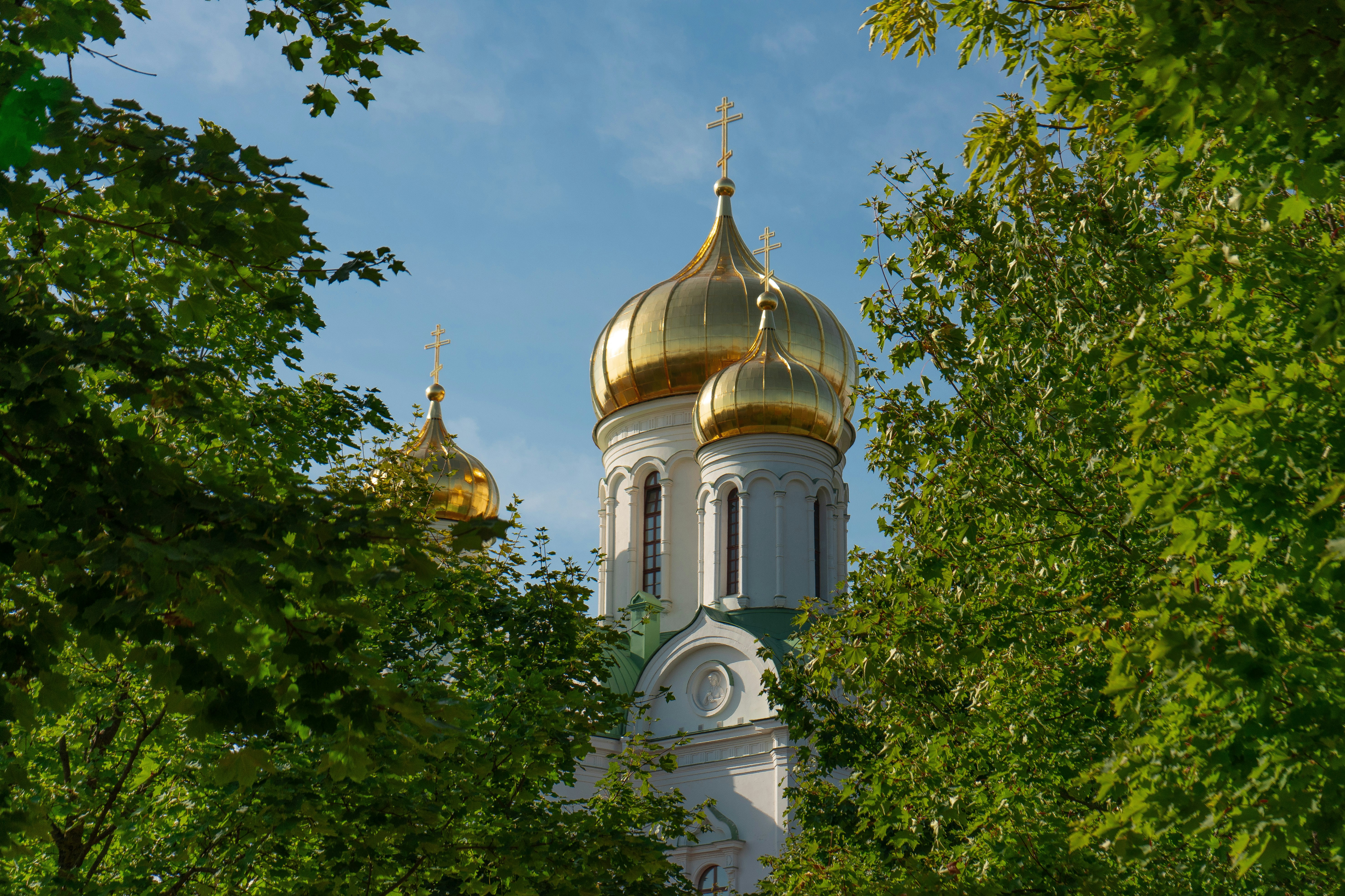 saint petersburg, russia image