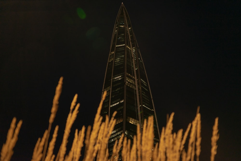 un grand bâtiment avec de l’herbe haute devant lui