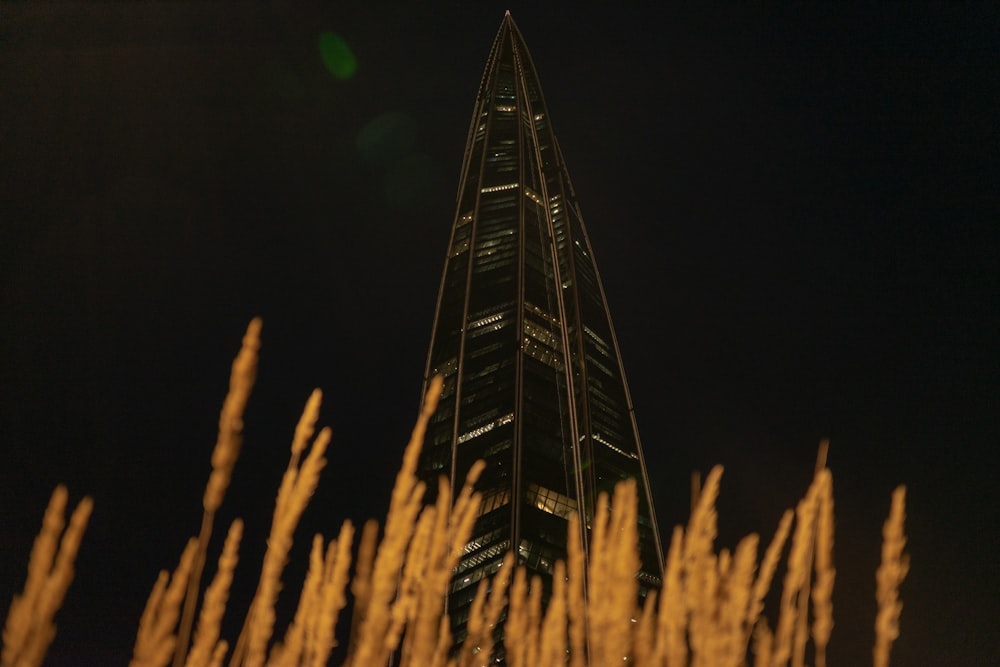 a tall building with tall grass in front of it