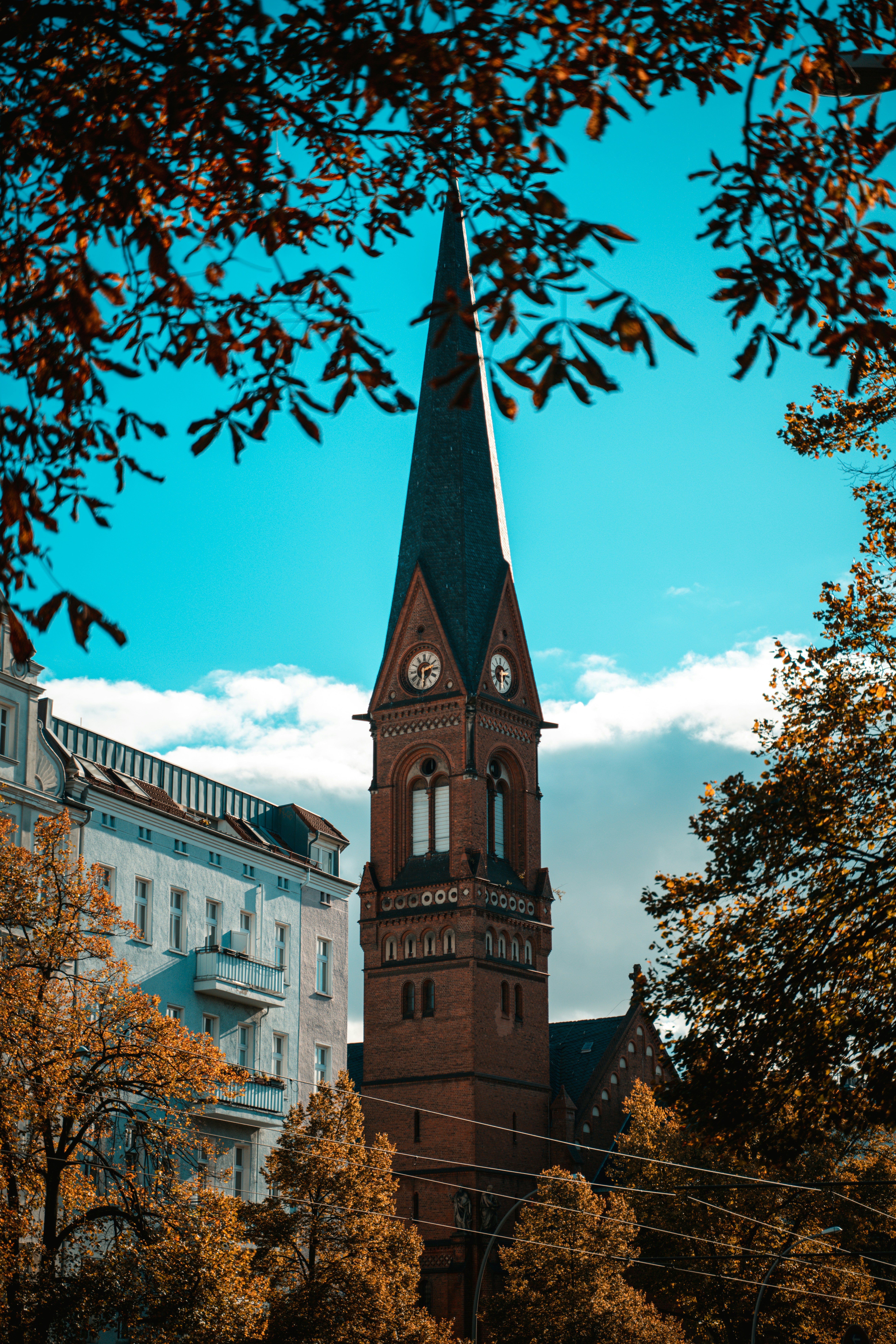 Photo by mattmutluu