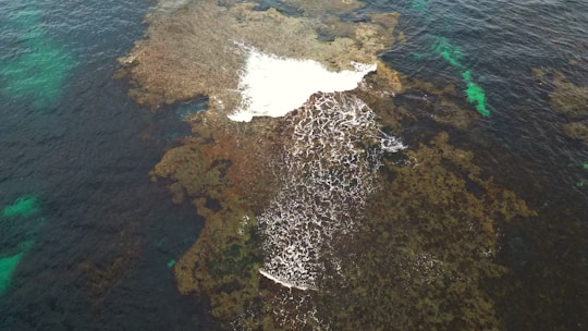 An aerial view of a coral reef in the ocean. There are various shades of green and brown, indicating different types of corals. The water appears clear with some white waves breaking over the reef. The surrounding sea is dark with patches of turquoise closer to the reef.