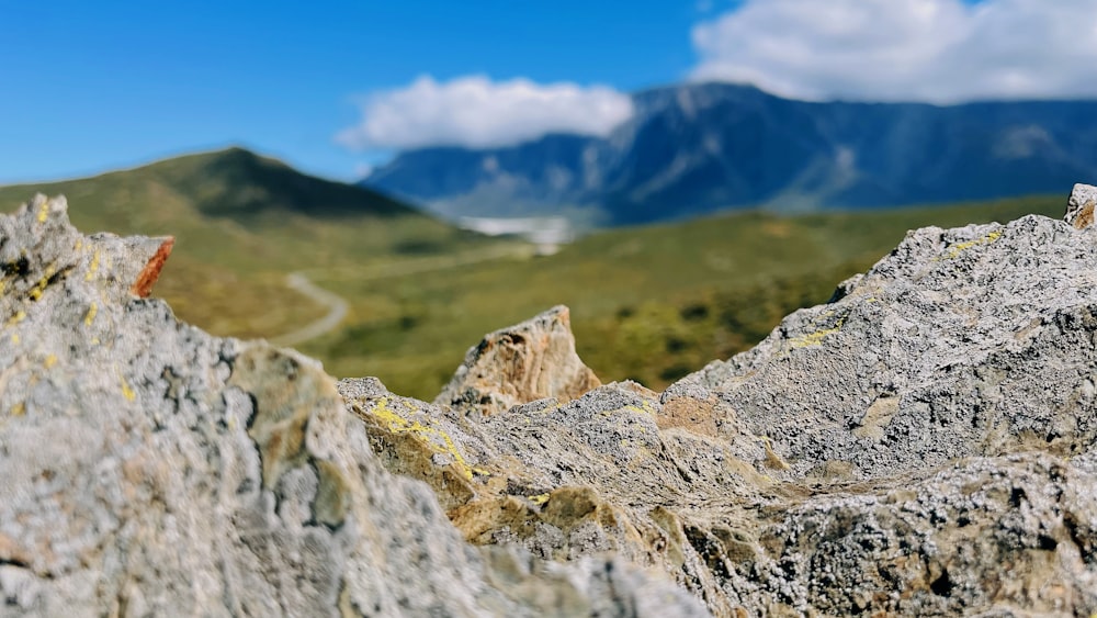 un gros plan de rochers avec des montagnes en arrière-plan