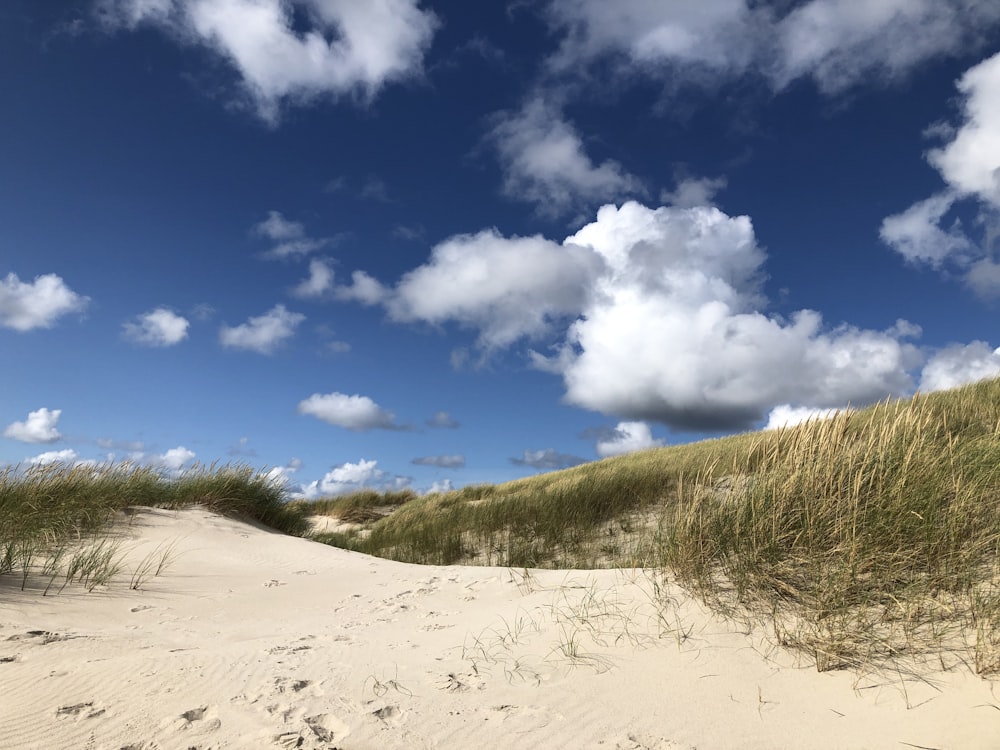 a sandy beach with grass and clouds in the sky