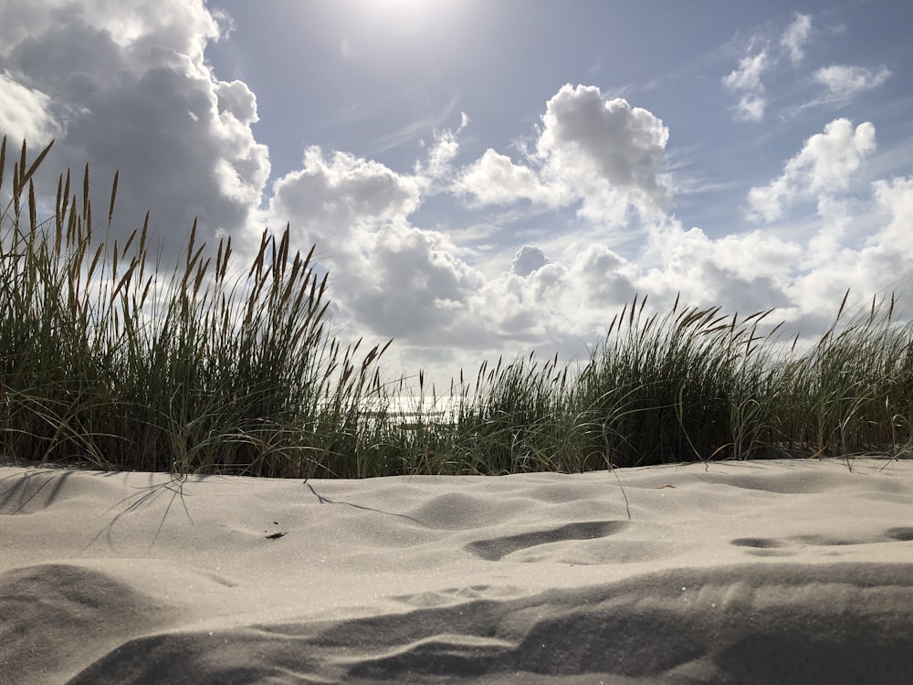 Il sole splende tra le nuvole sopra le dune di sabbia