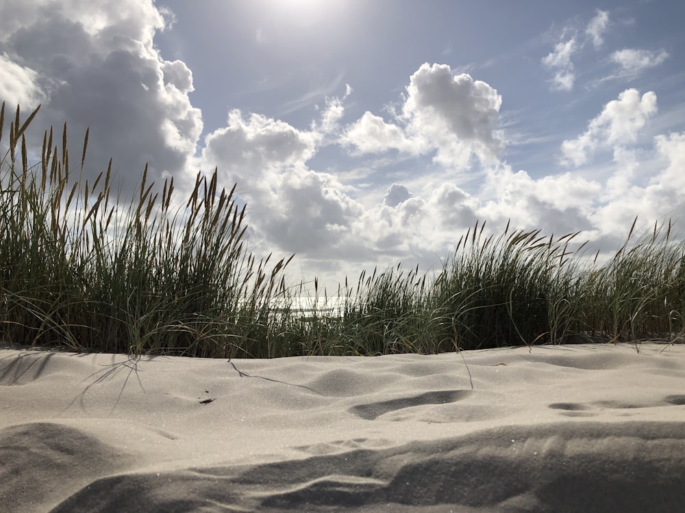 the sun shines through the clouds over the sand dunes