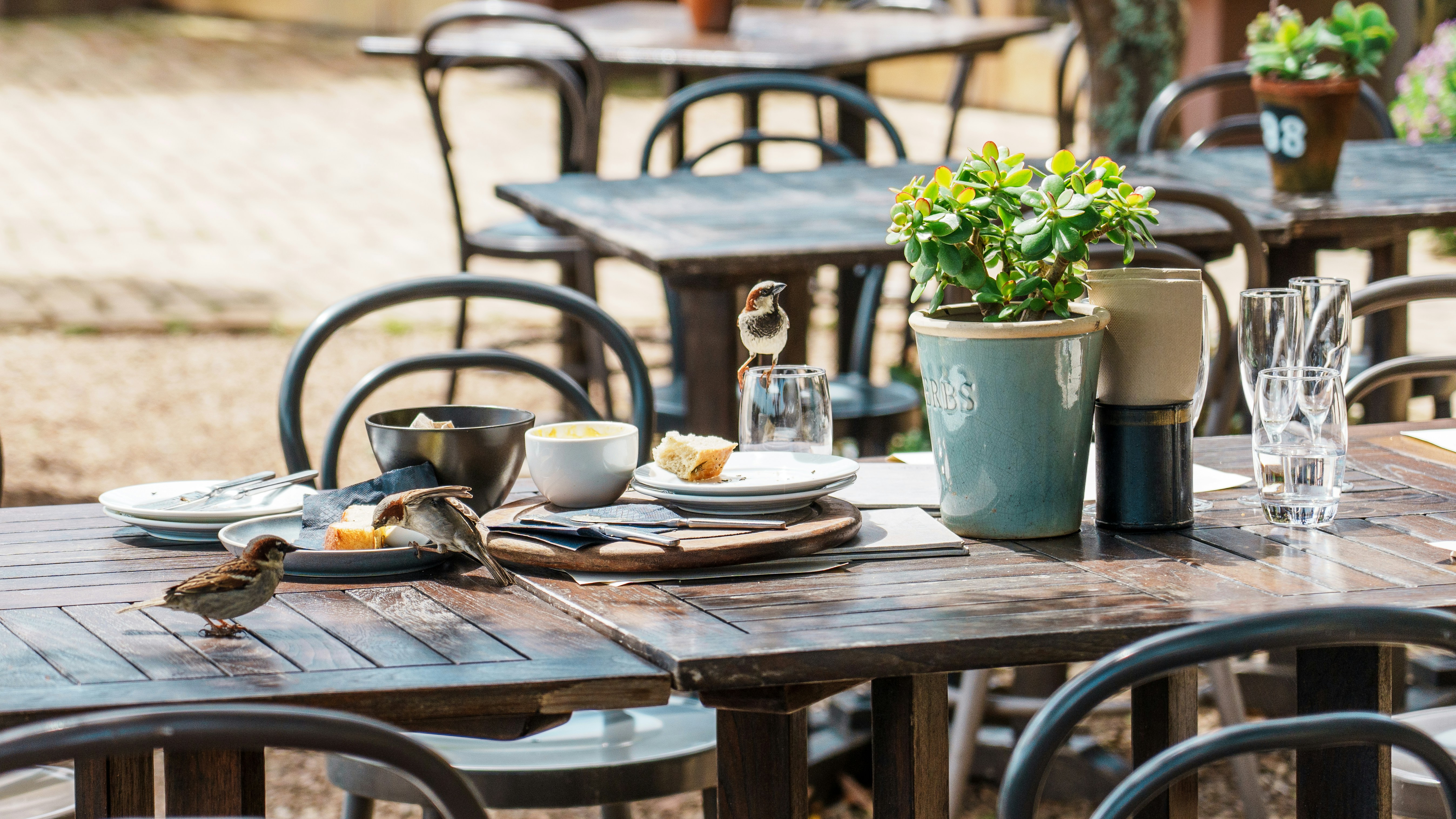 a wooden table topped with plates of food, 