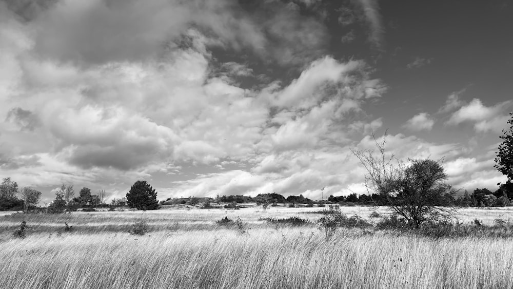 una foto in bianco e nero di un campo