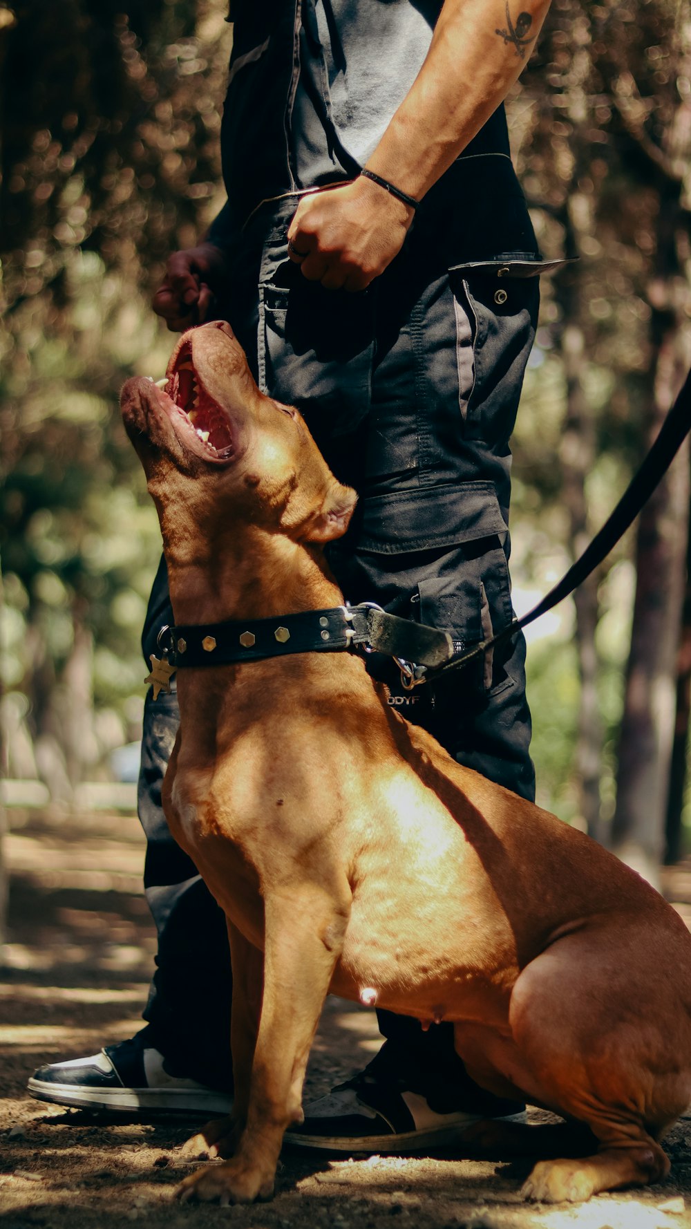 a man standing next to a brown dog on a leash