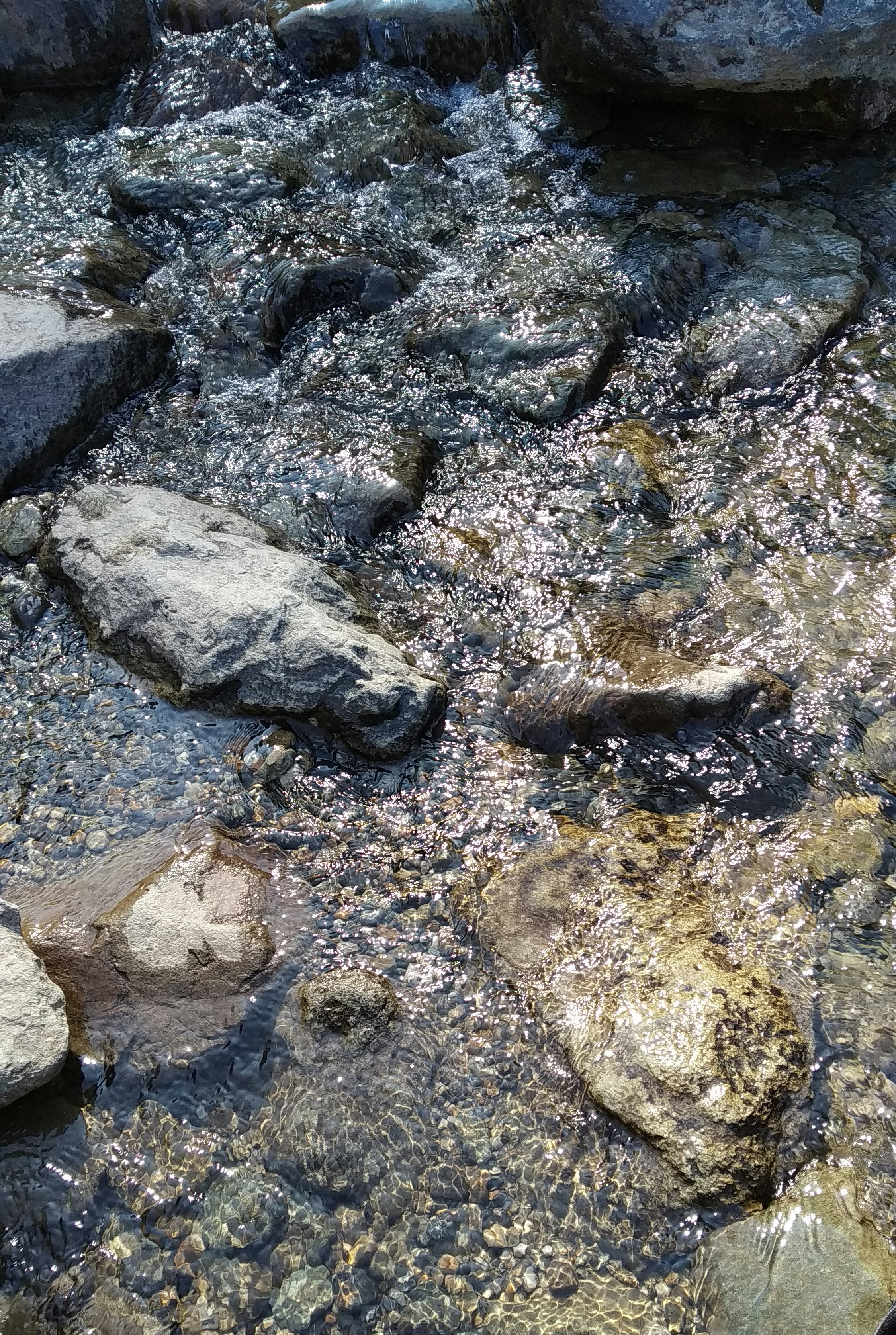 Photo by tanitafotos