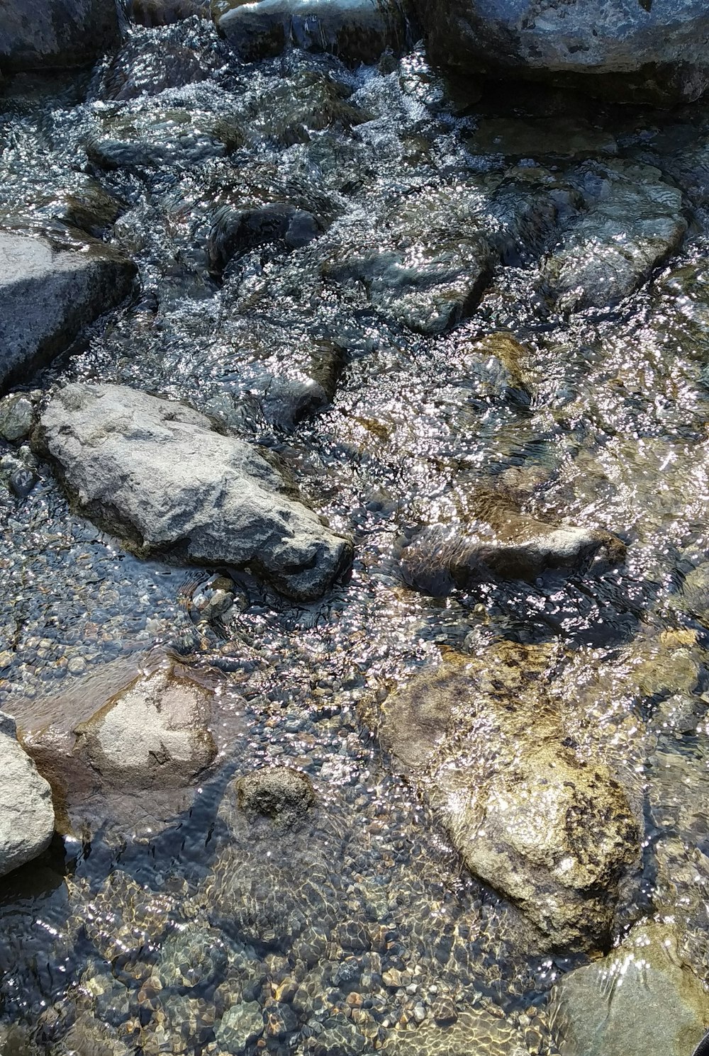 a bird is sitting on a rock in the water