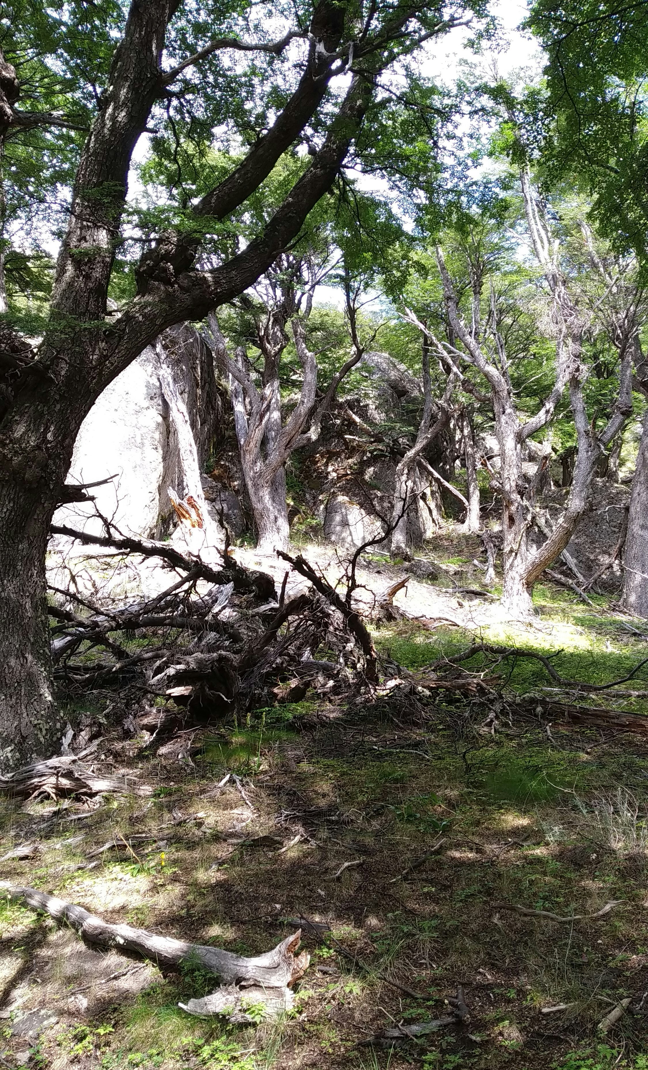 Photo by tanitafotos