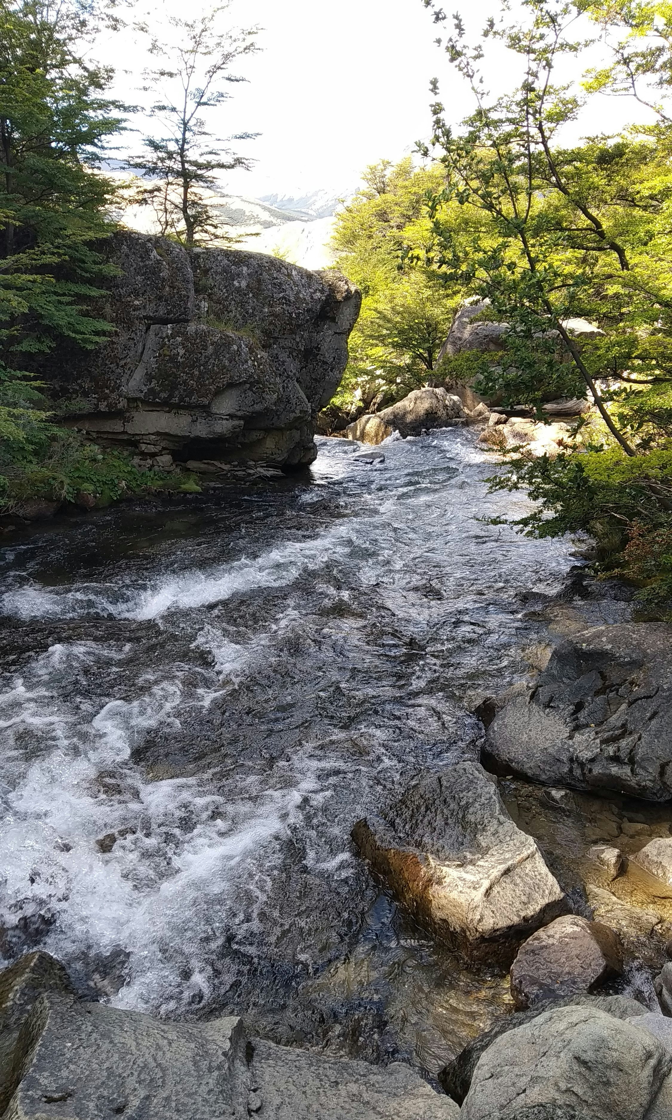 Photo by tanitafotos