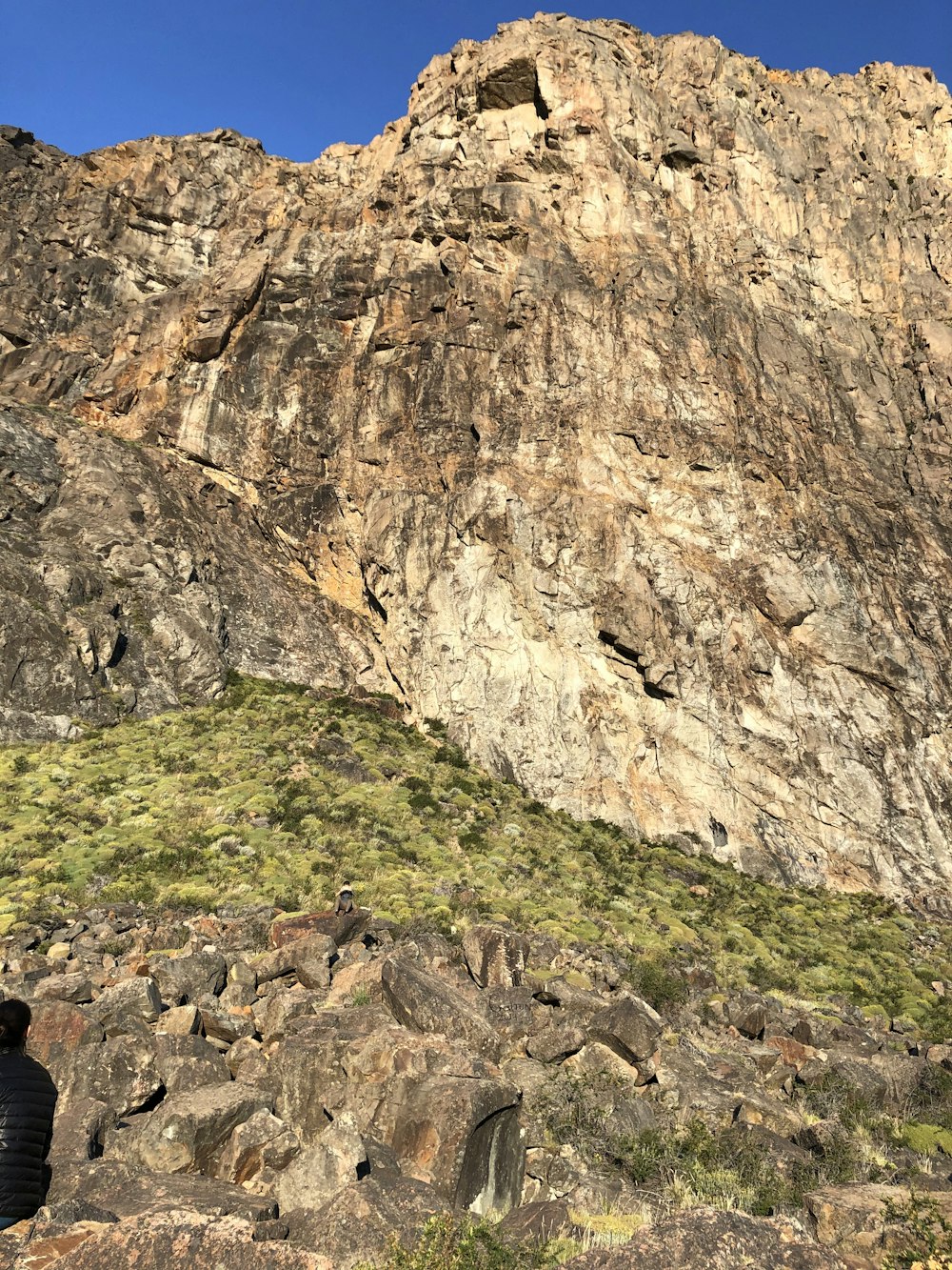 a man standing on top of a lush green hillside