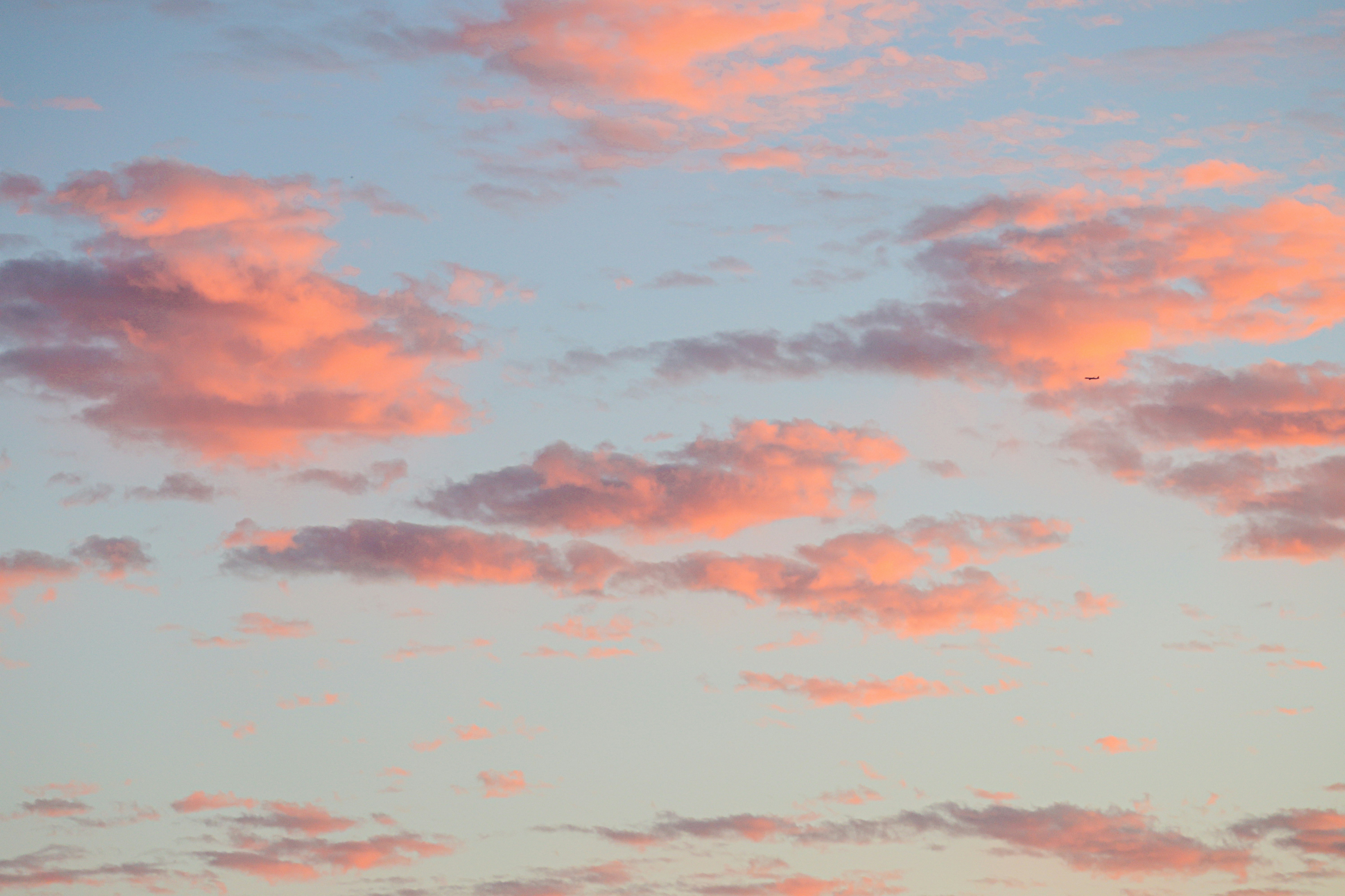 Photo by cestmoisheedy