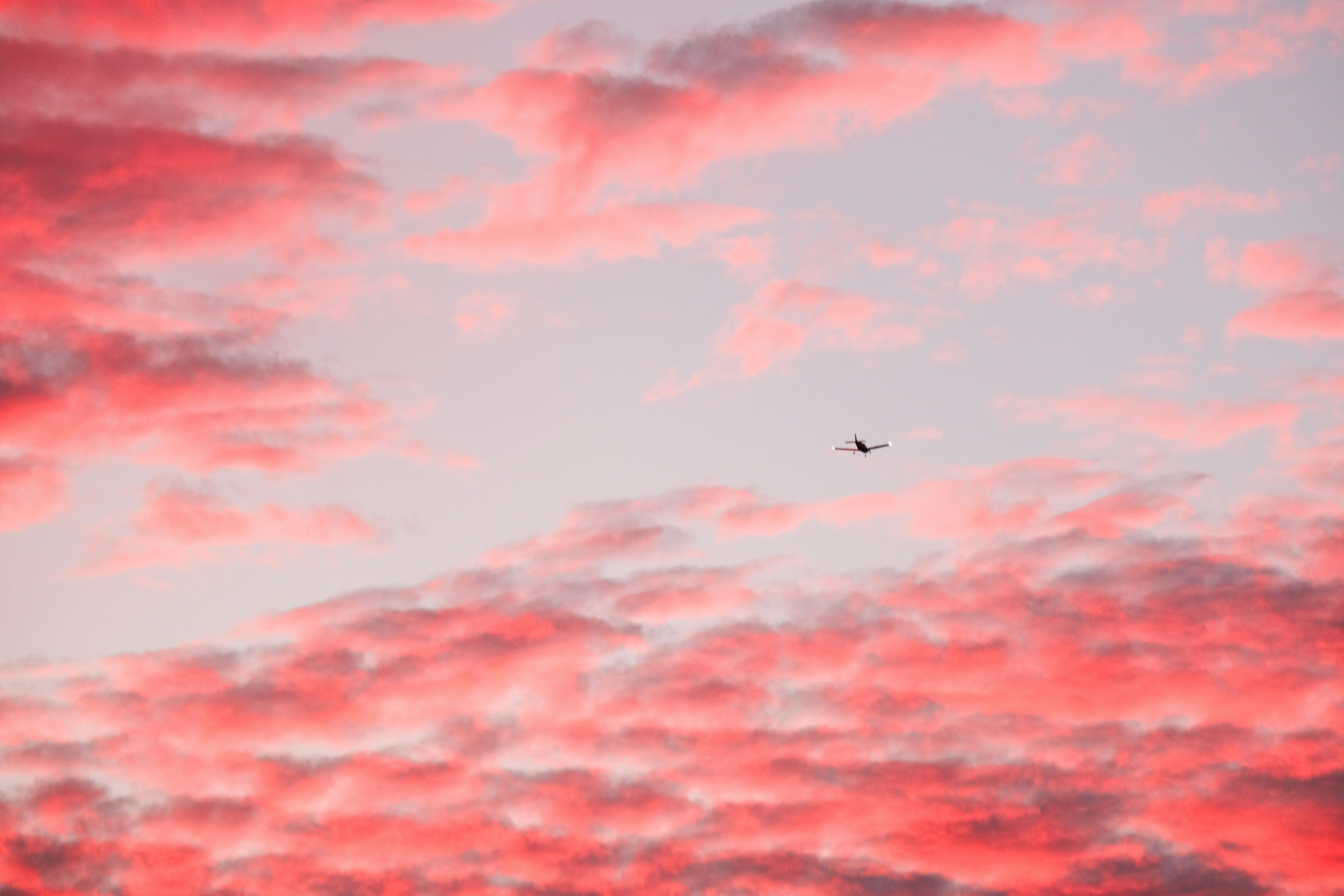 Photo by cestmoisheedy