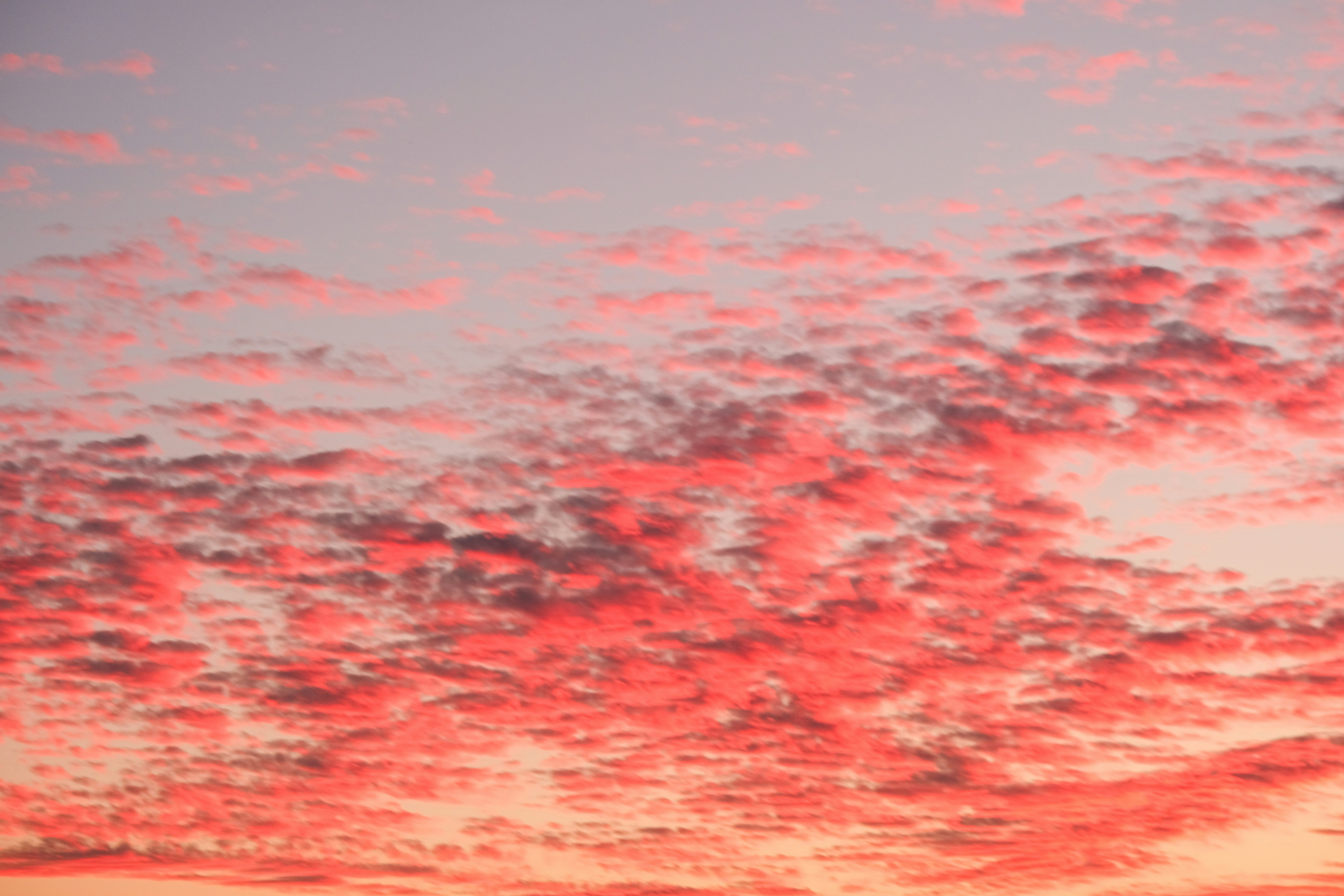 Photo by cestmoisheedy