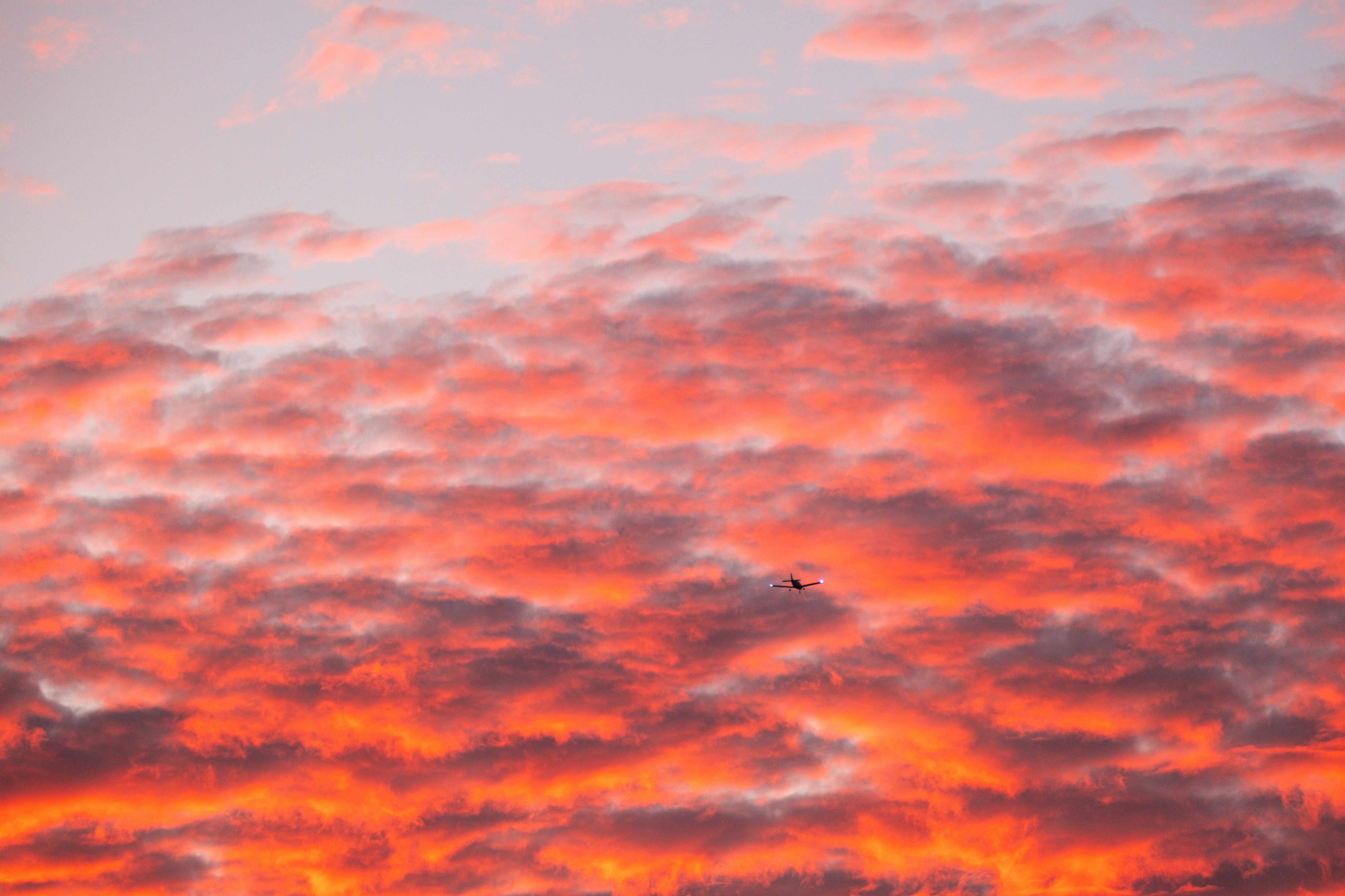 Photo by cestmoisheedy