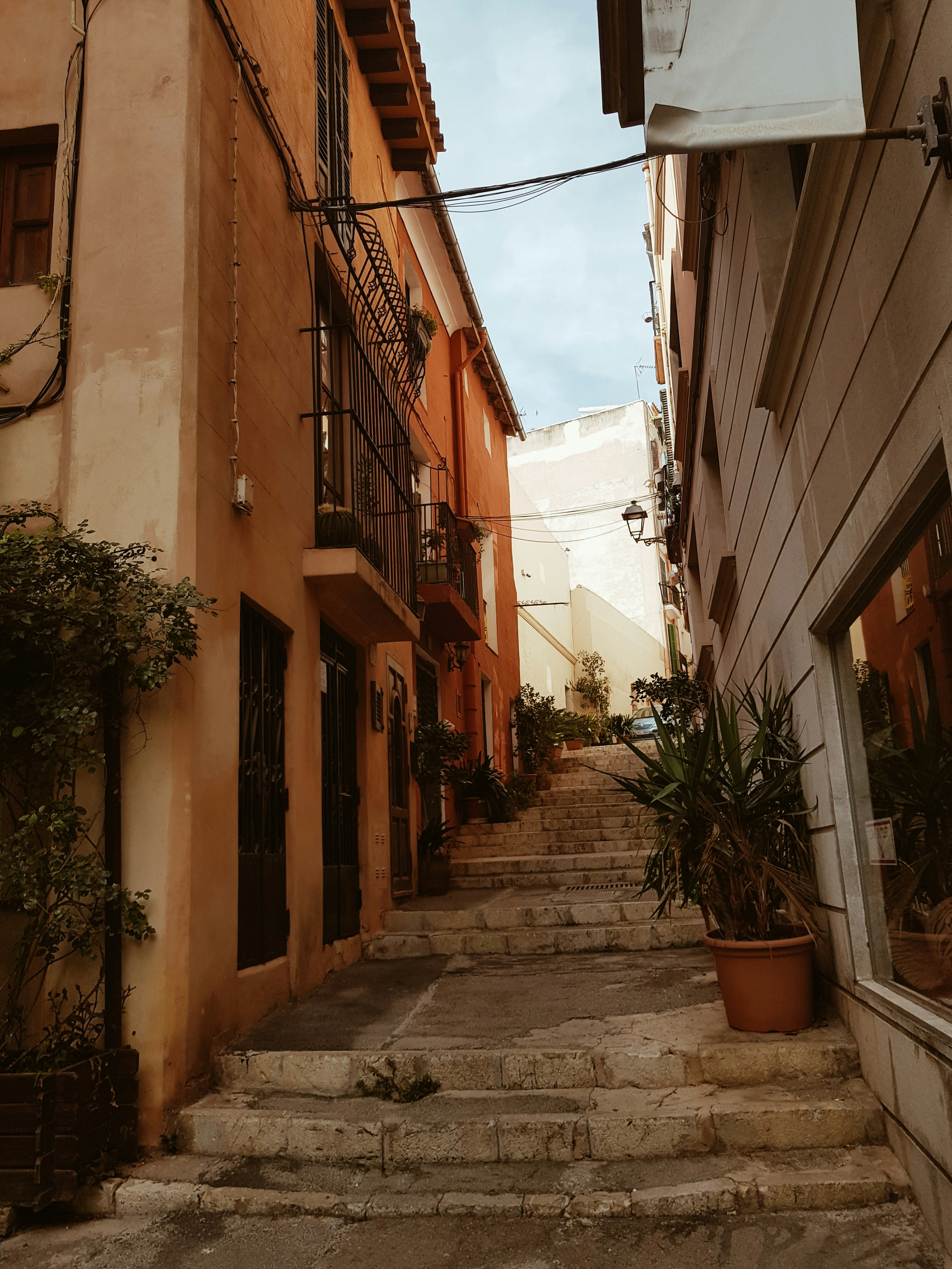 Photo by mickomicko23