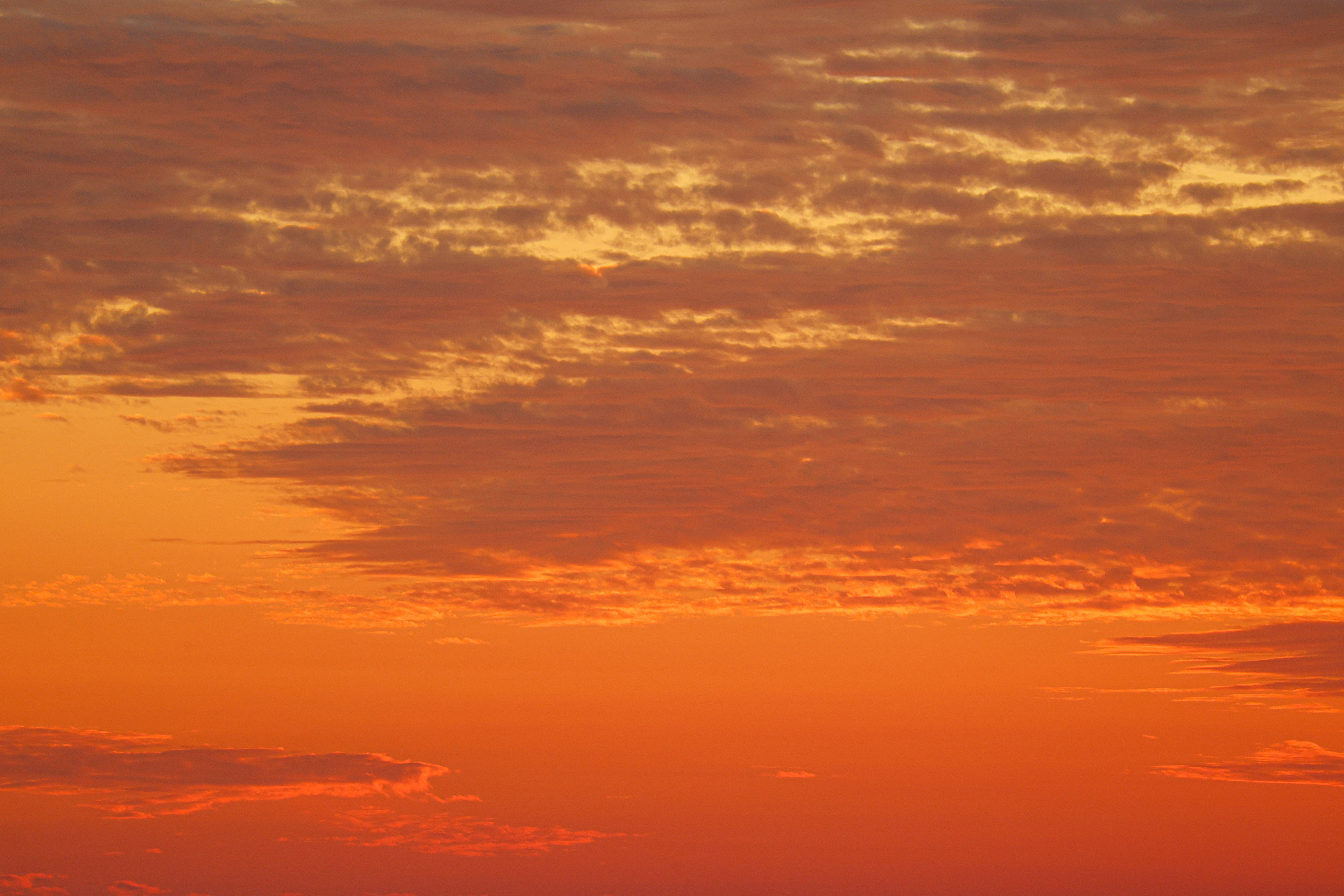 Photo by cestmoisheedy