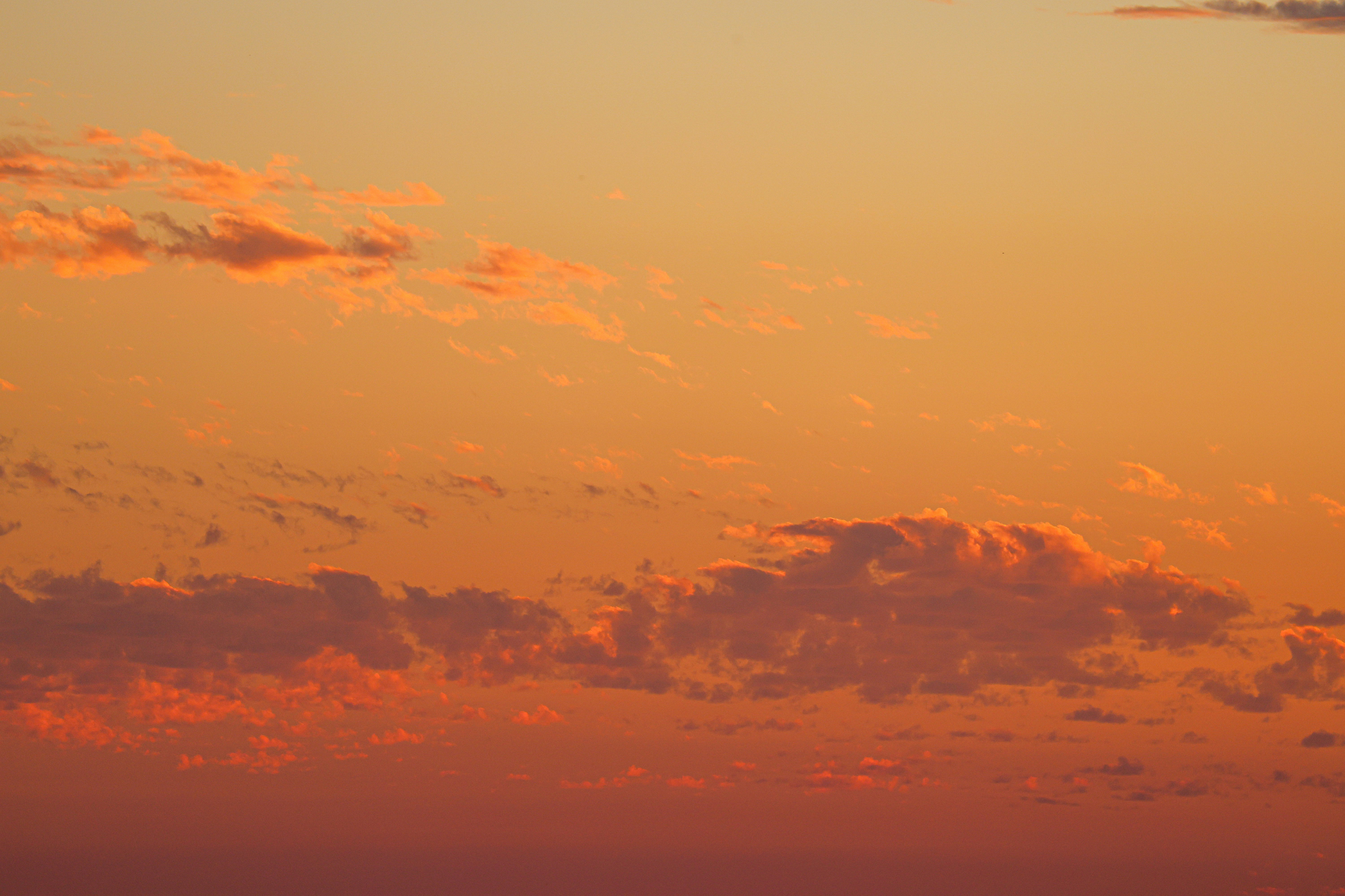 Photo by cestmoisheedy