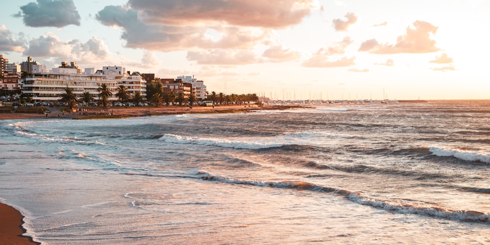 una playa con olas que llegan a la orilla