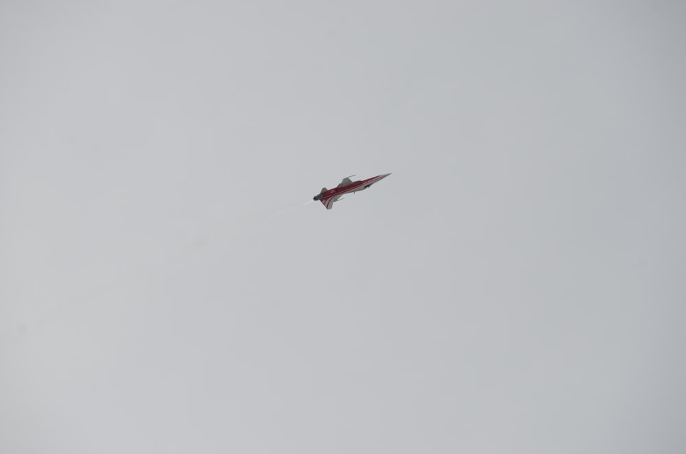 a bird flying in the sky on a cloudy day