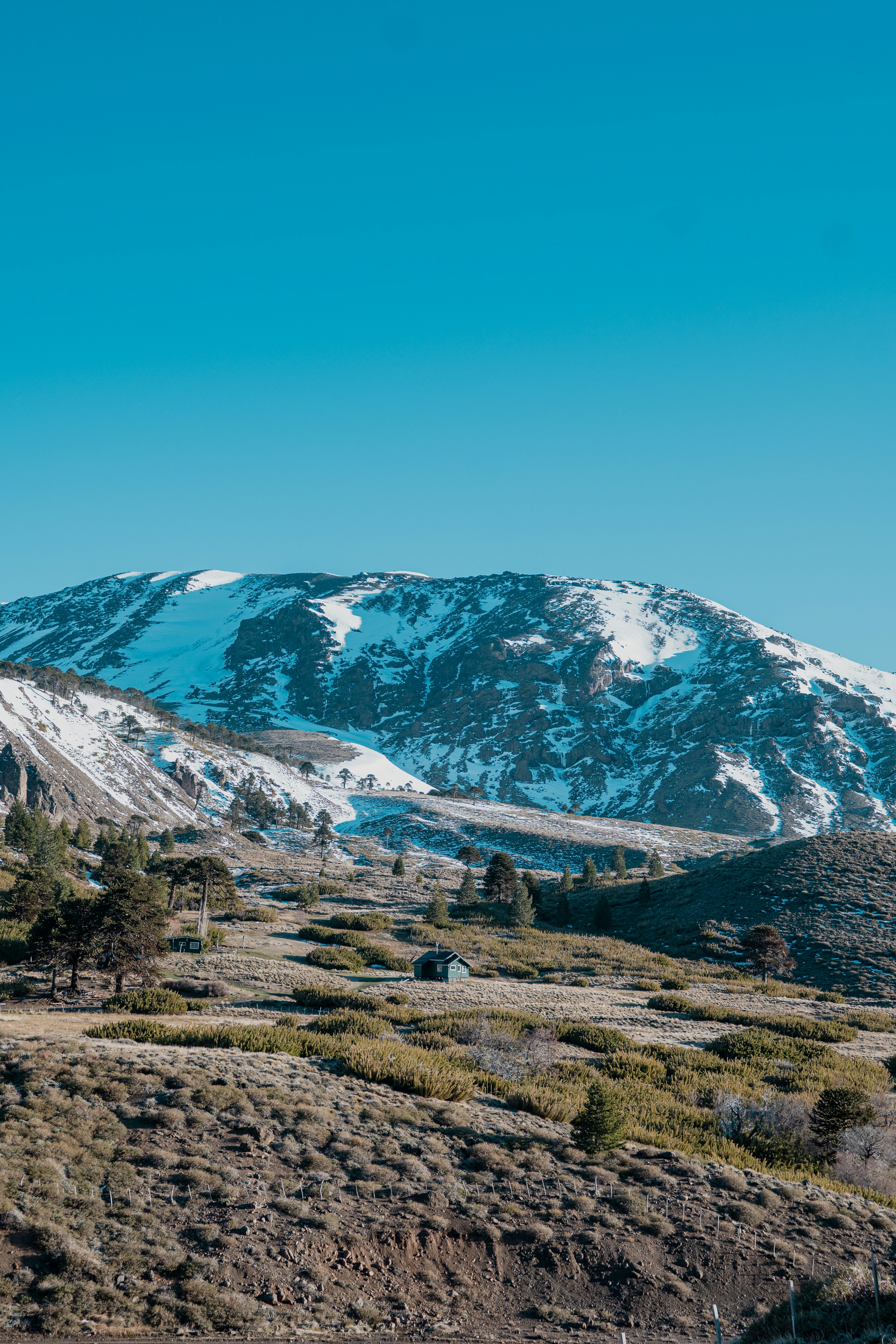 Photo by gonchifacello