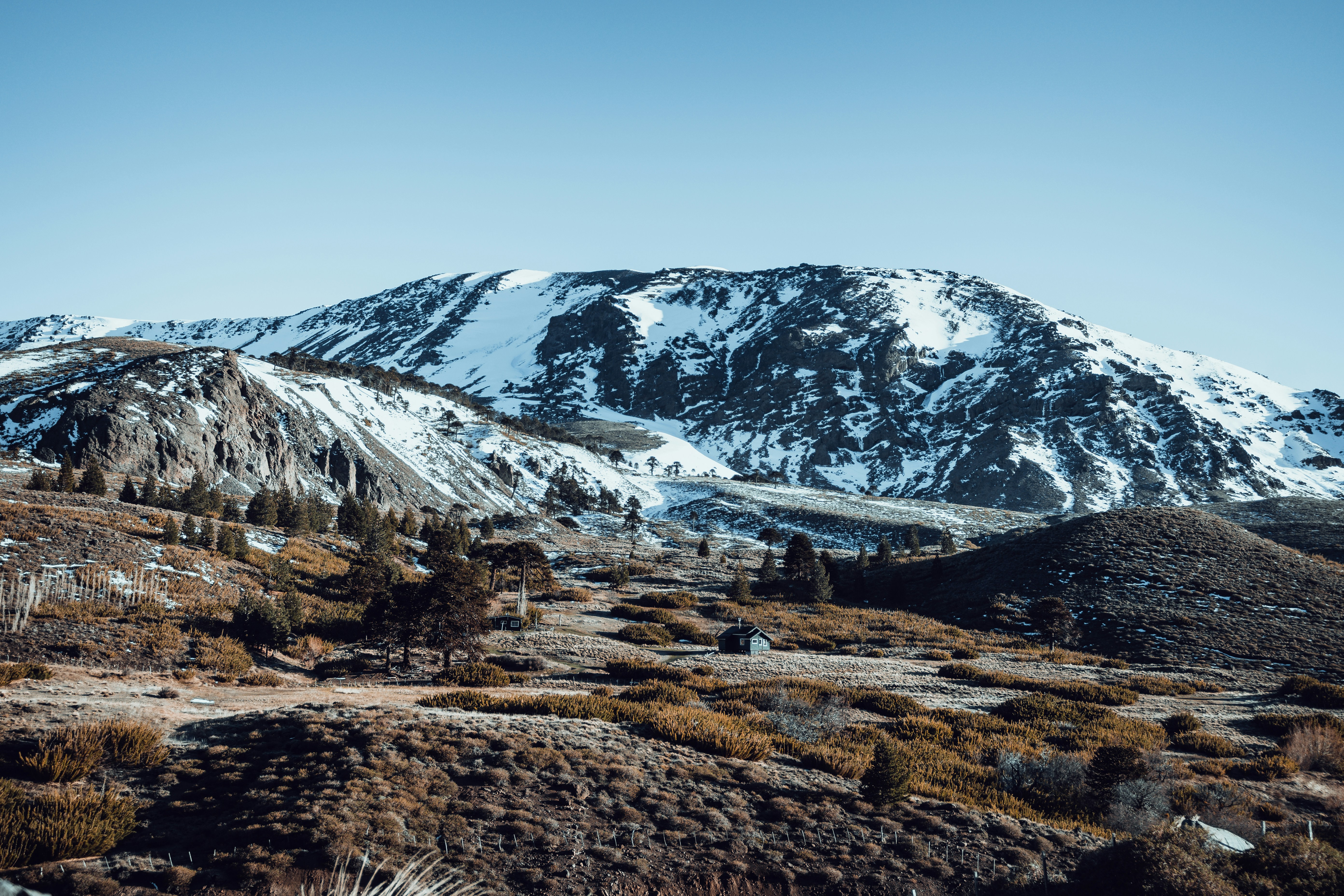 Photo by gonchifacello