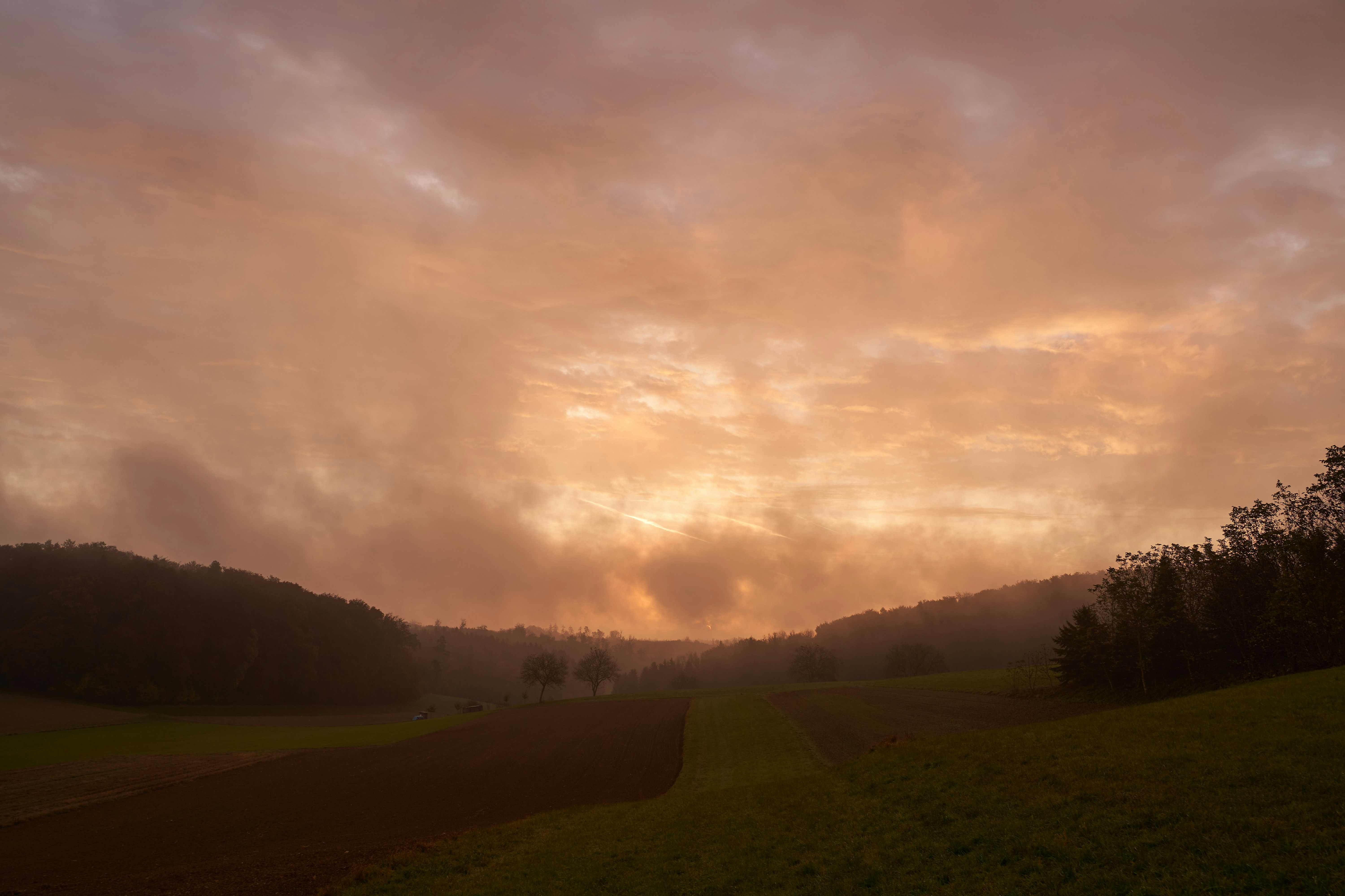 Photo by wolfgang_hasselmann