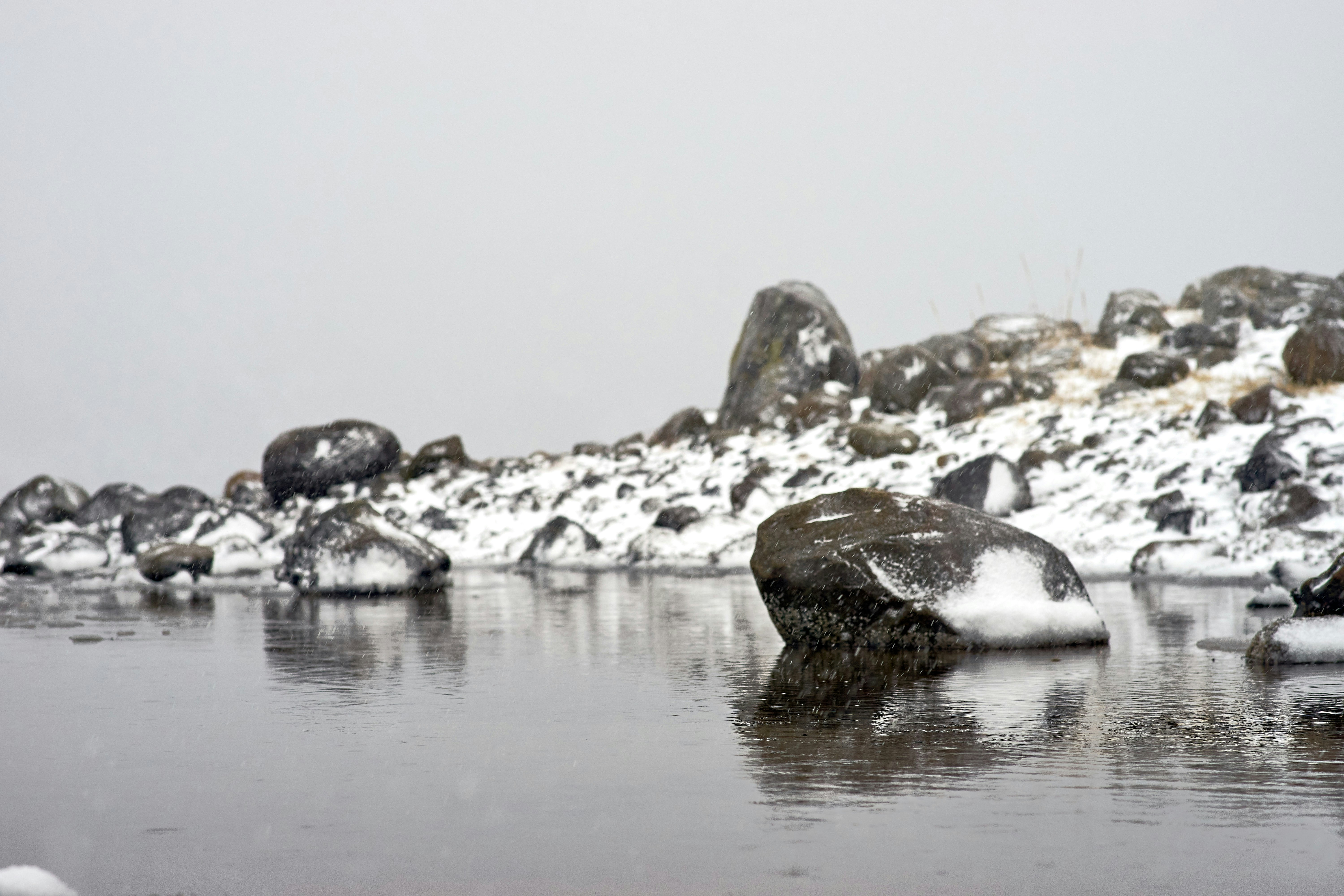 Photo by wolfgang_hasselmann