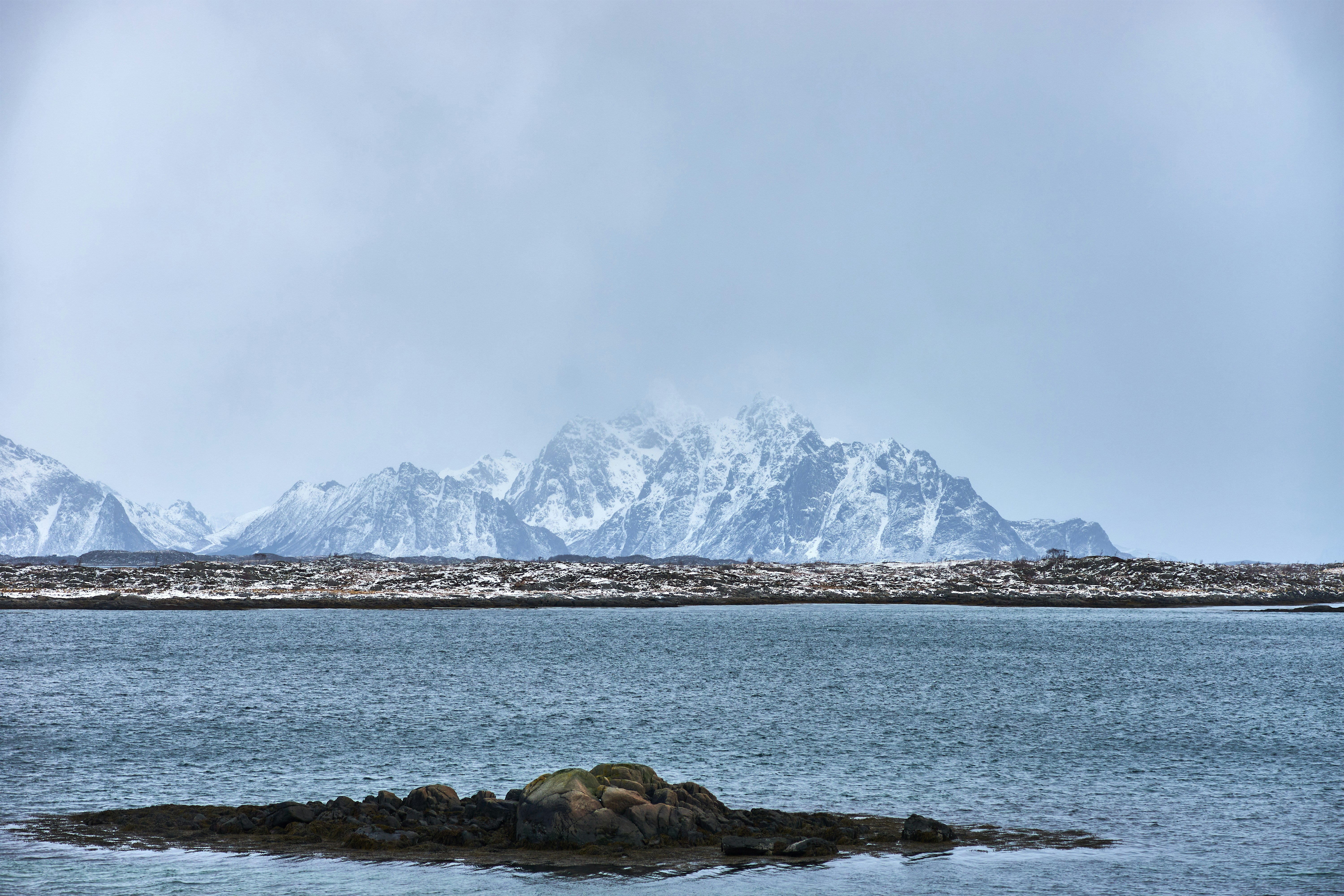 Photo by wolfgang_hasselmann